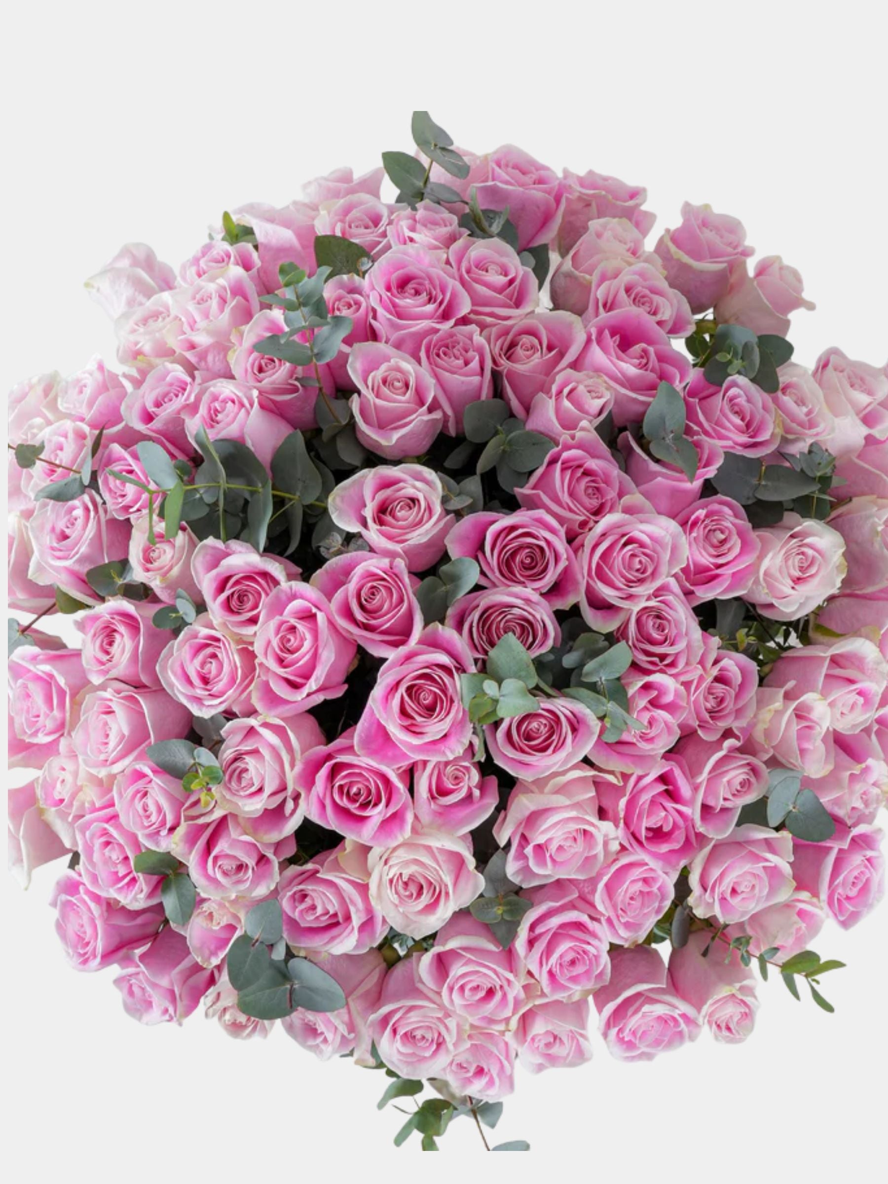 100 Luxury Pink Roses Vase