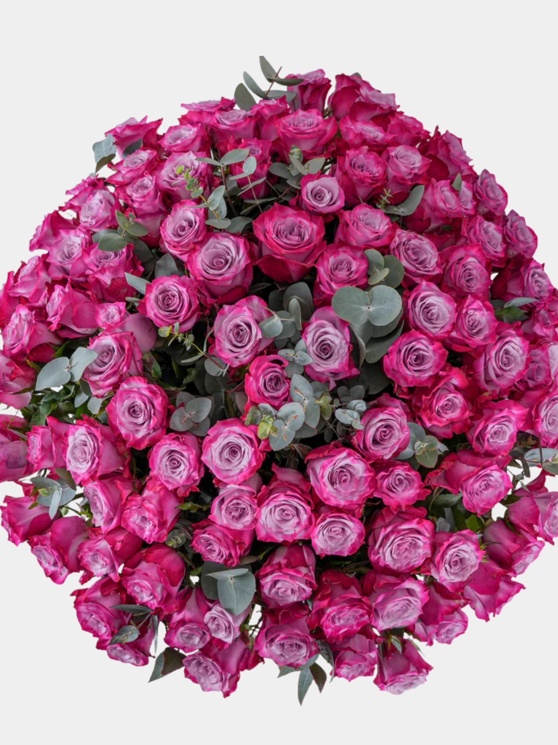 100 Luxury Purple Roses Vase