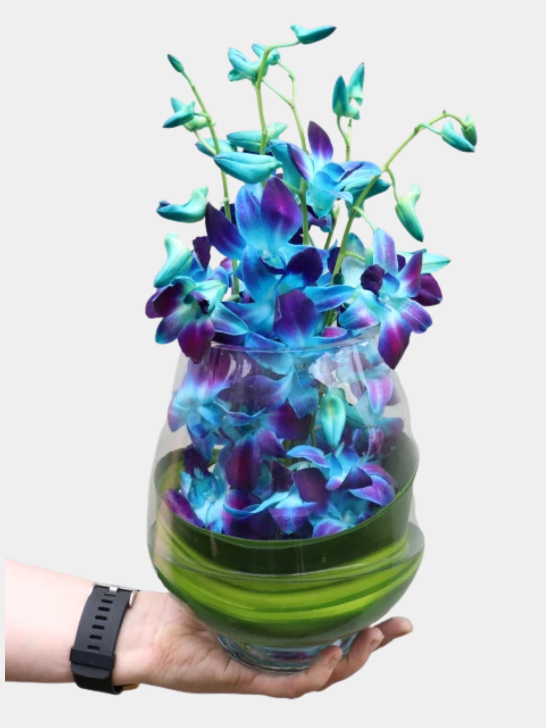 10 Blue Orchids in a Vase