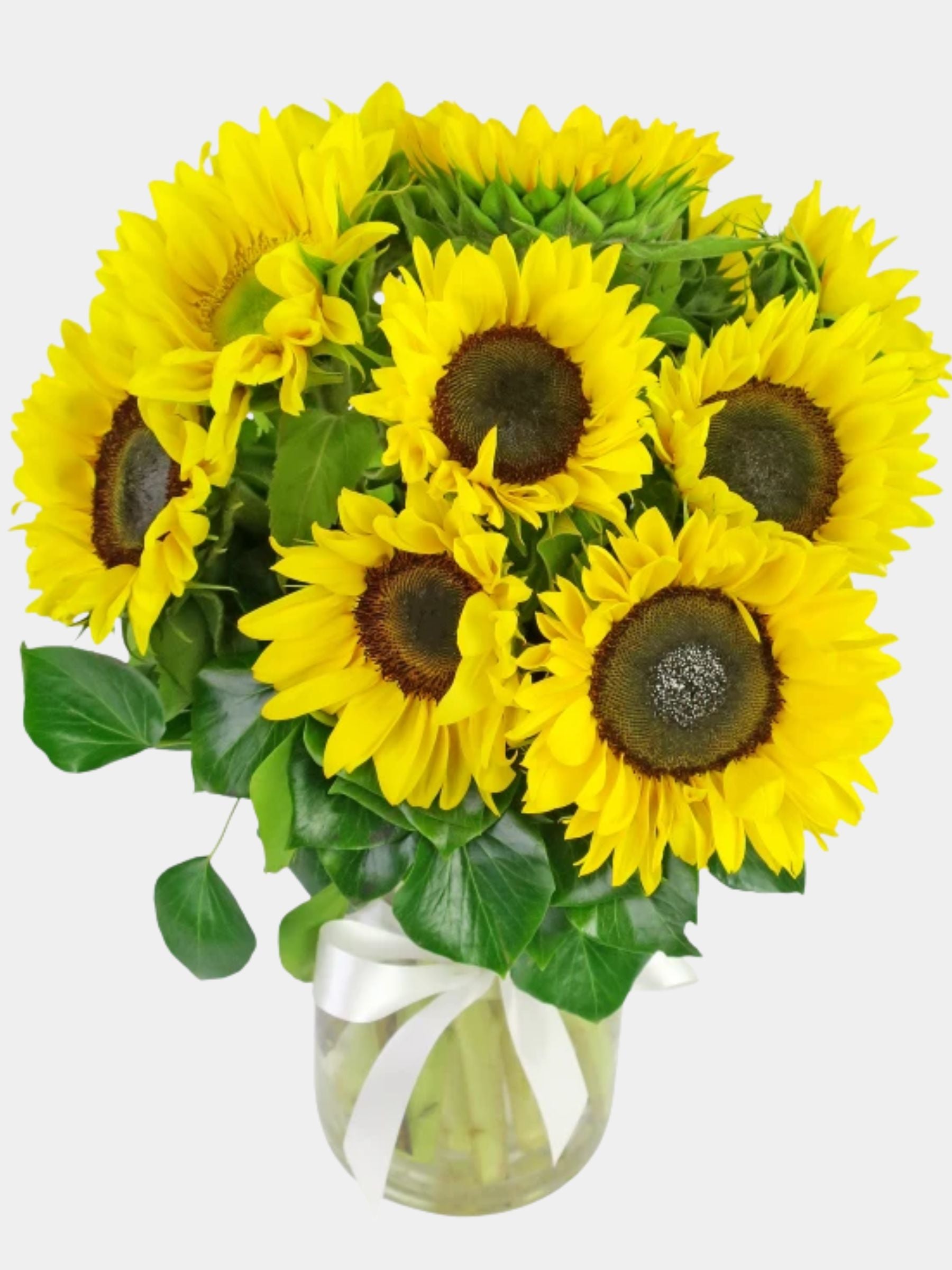 10 Sunflowers in a Vase