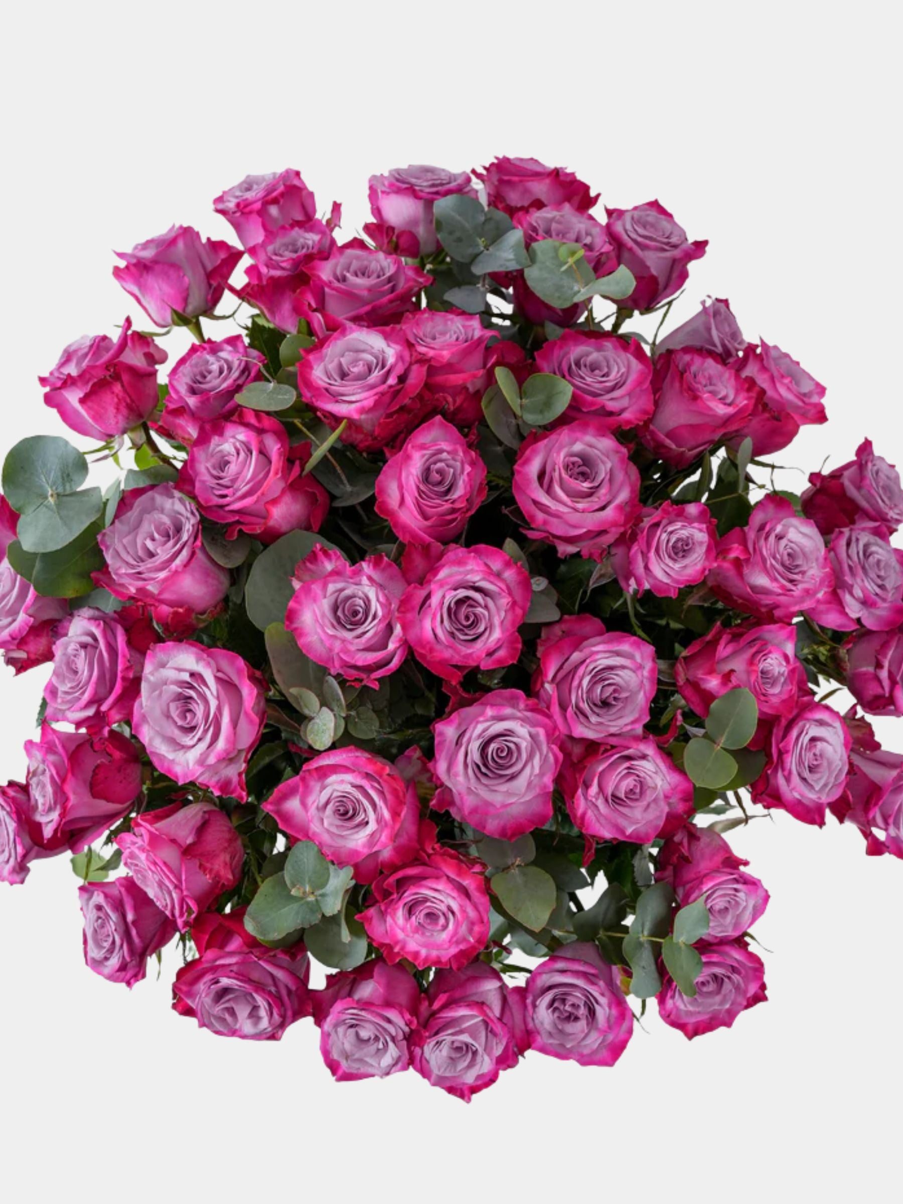 50 Purple Roses Vase