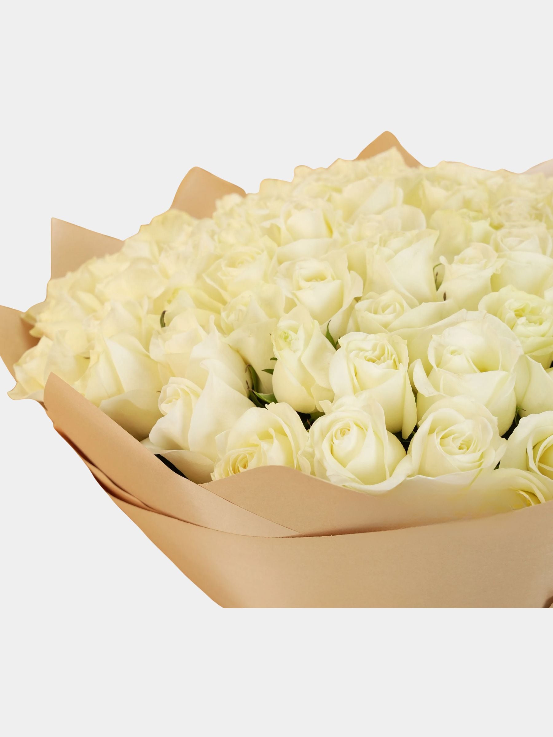 Bouquet of 100 White Roses