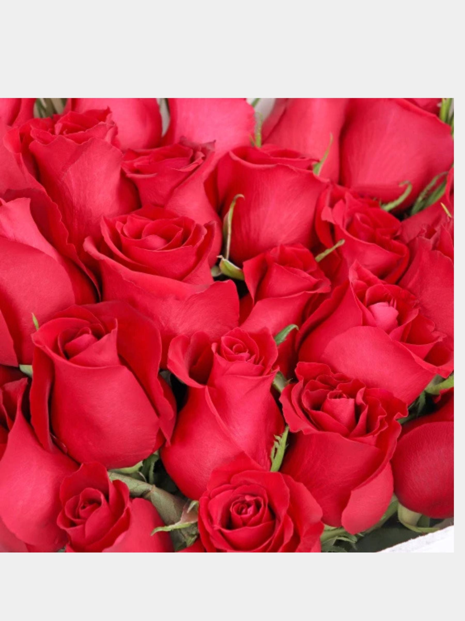 Bouquet of 24 Red Roses