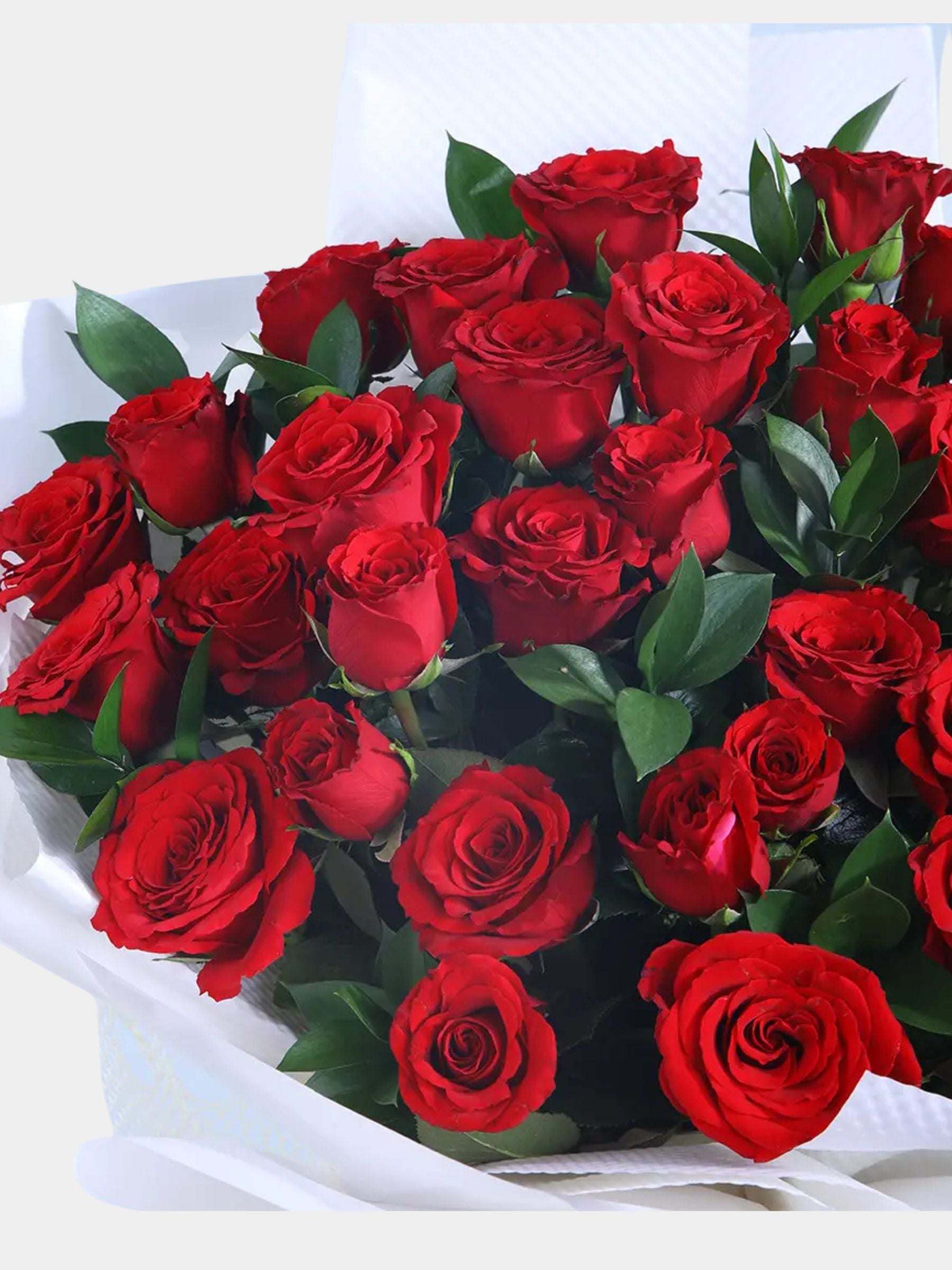 Bouquet of 36 Red Roses