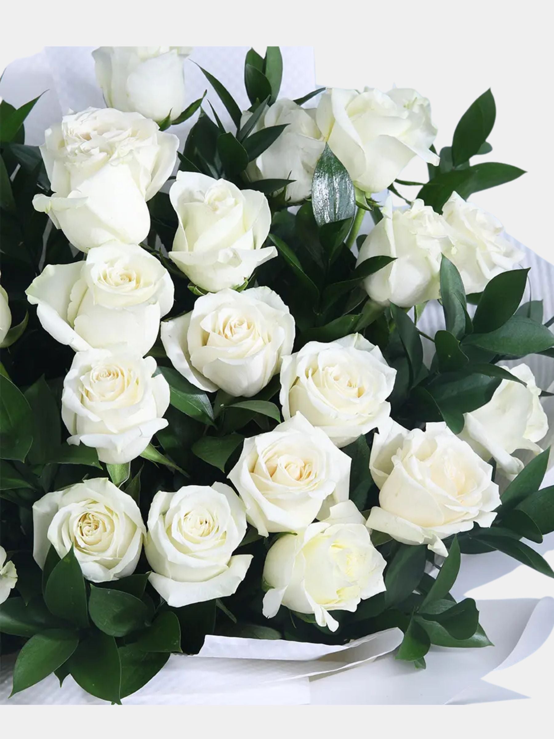 Bouquet of 36 White Roses