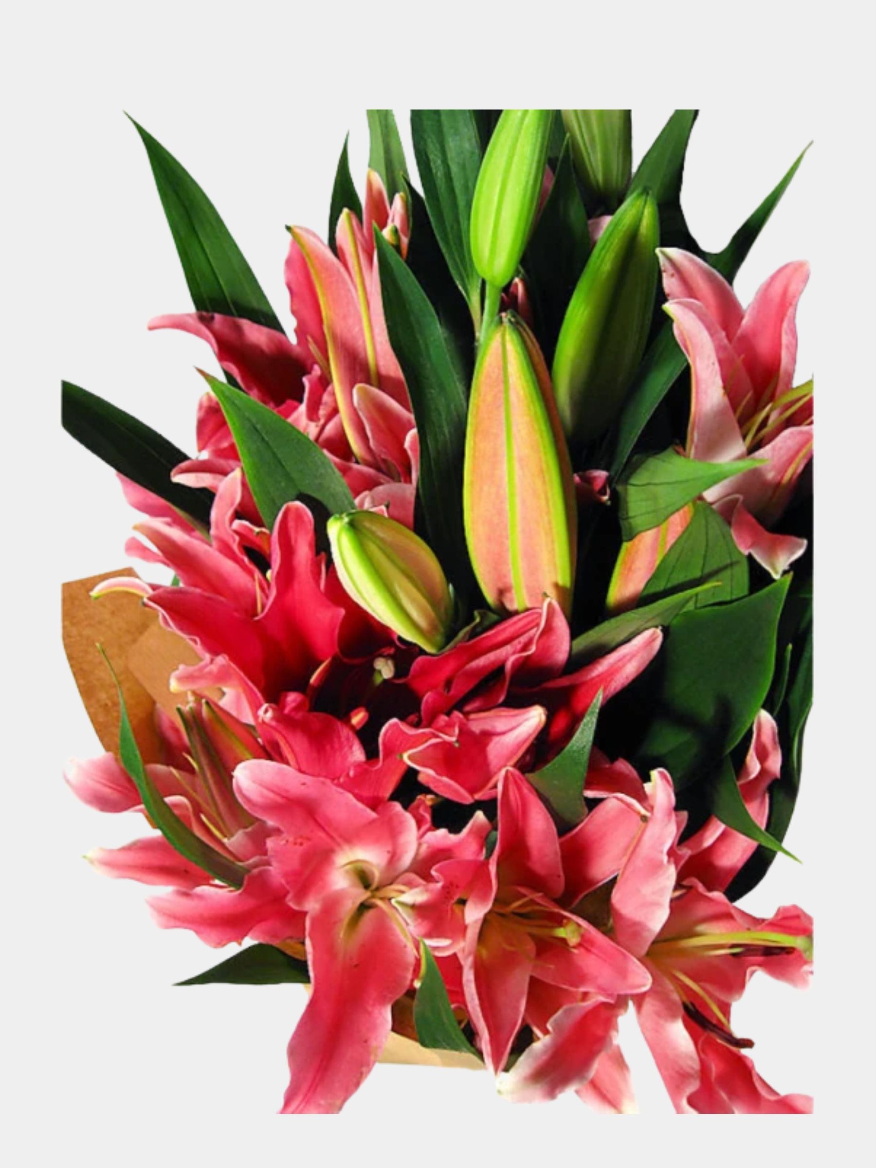 Bouquet of 10 Pink Oriental Lily