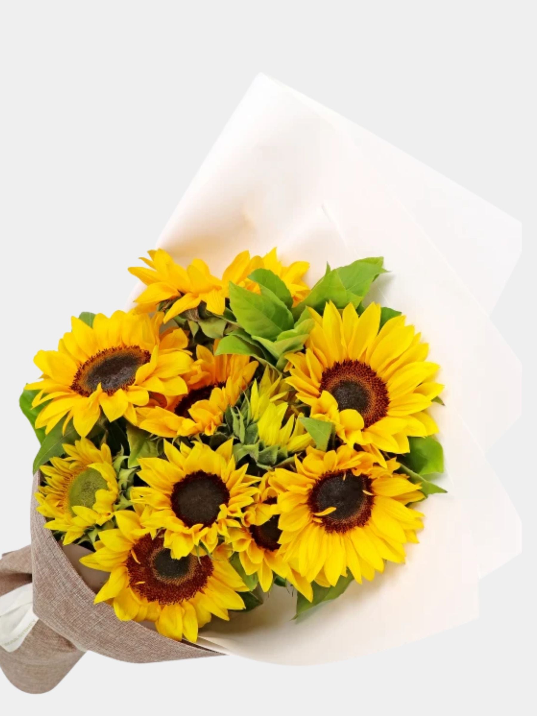 Bouquet of 10 Sunflowers