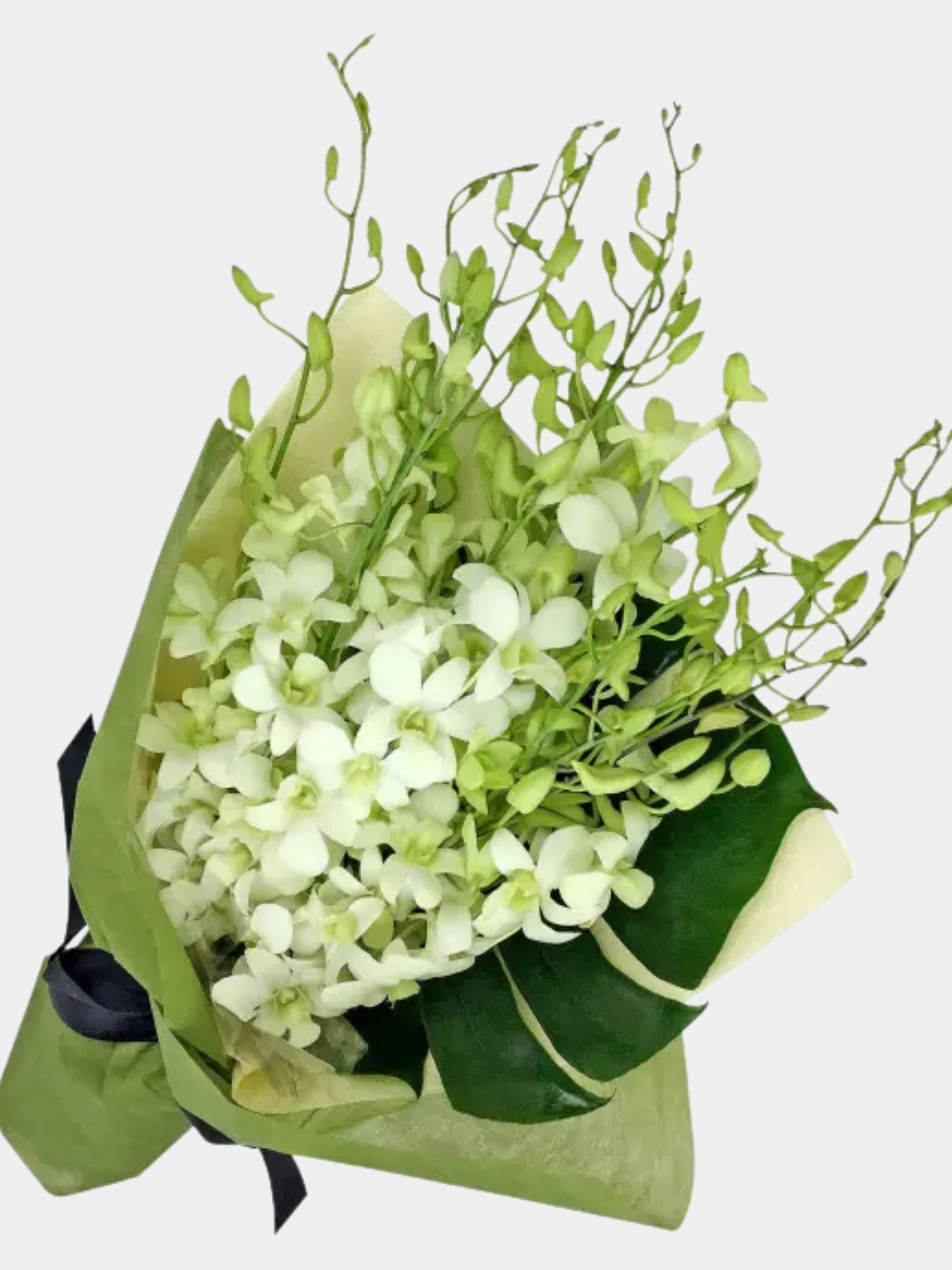 Bouquet of 15 White Orchid