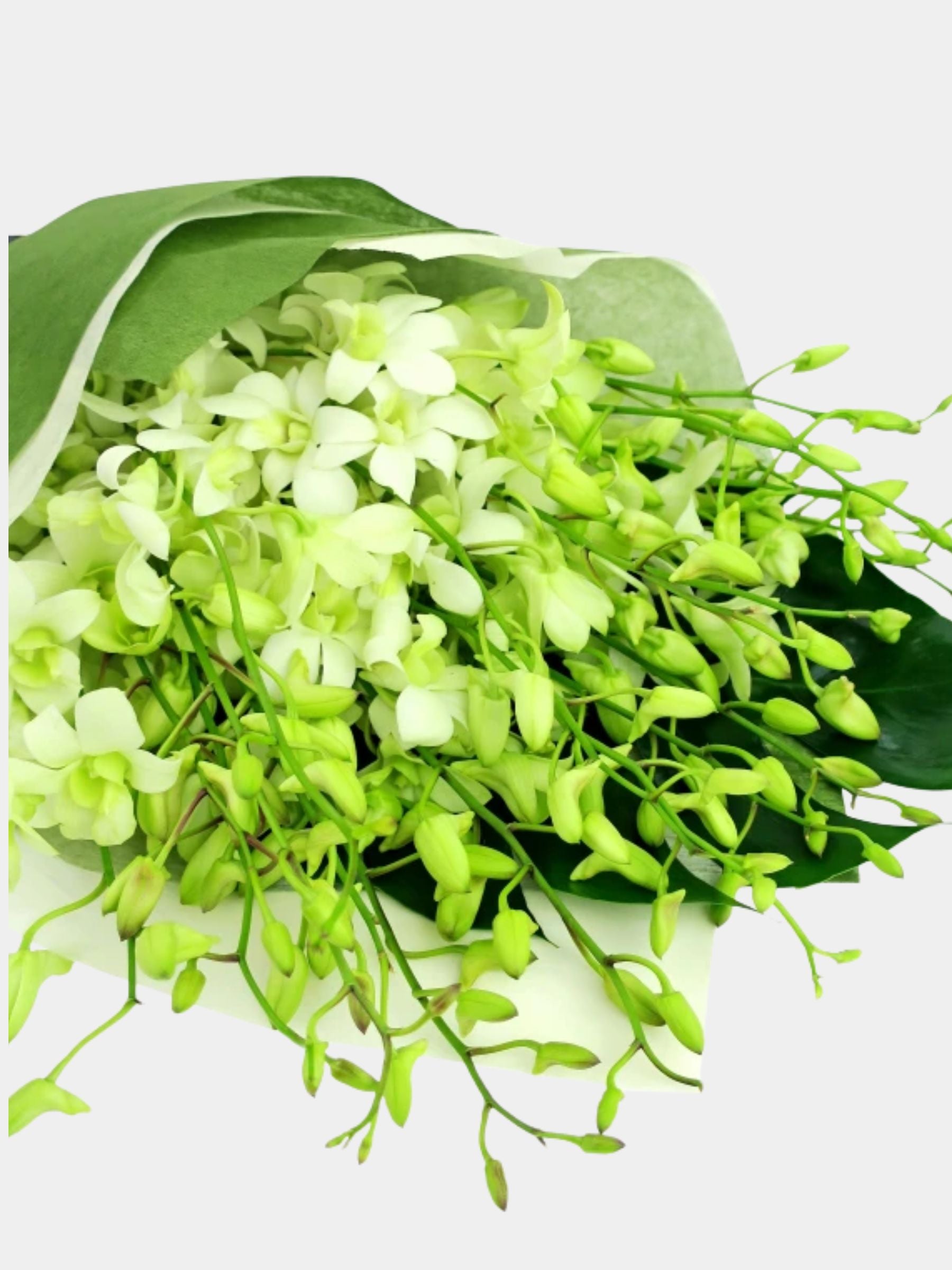 Bouquet of 20 White Orchid