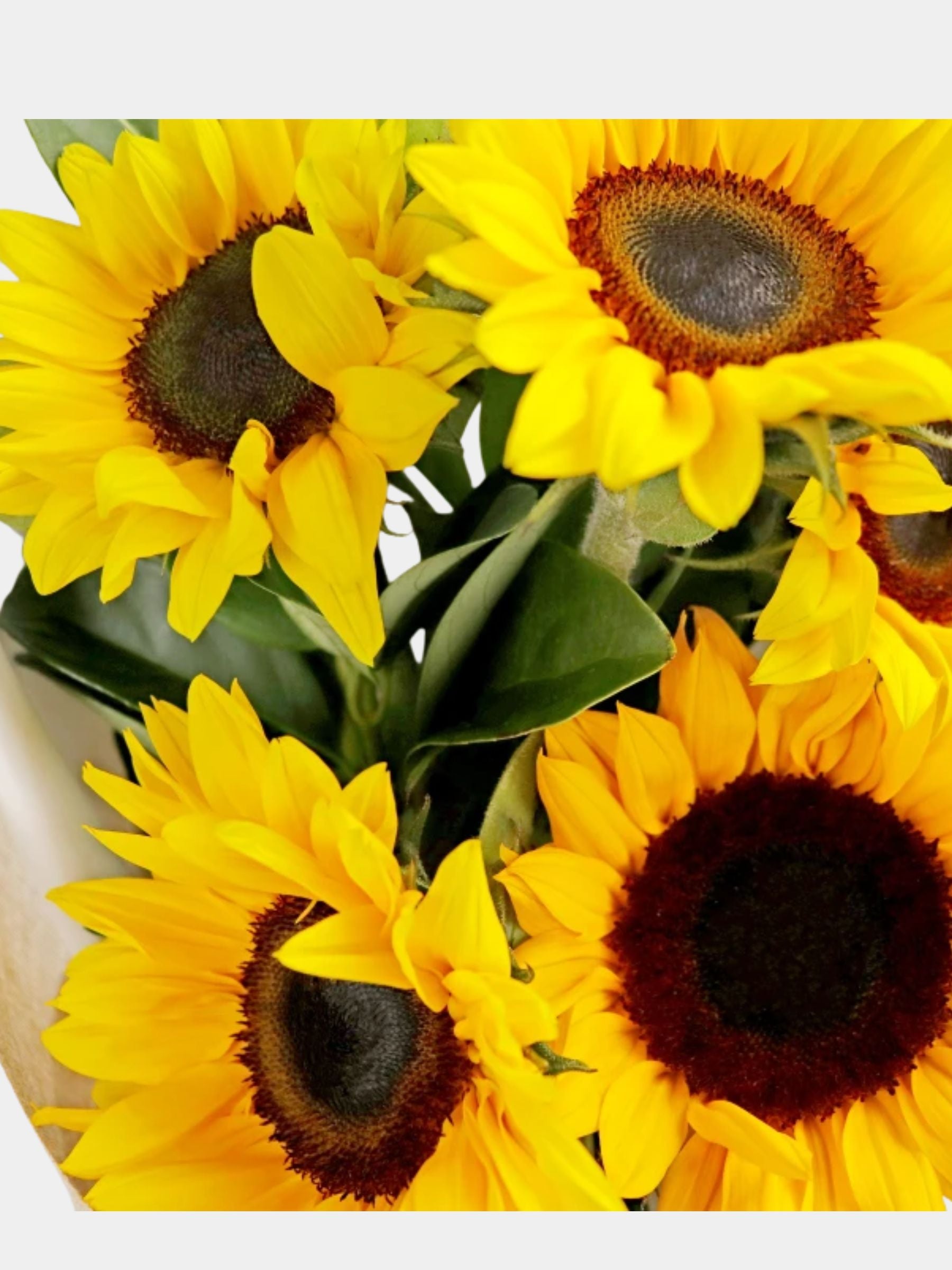 Bouquet of 5 Sunflowers