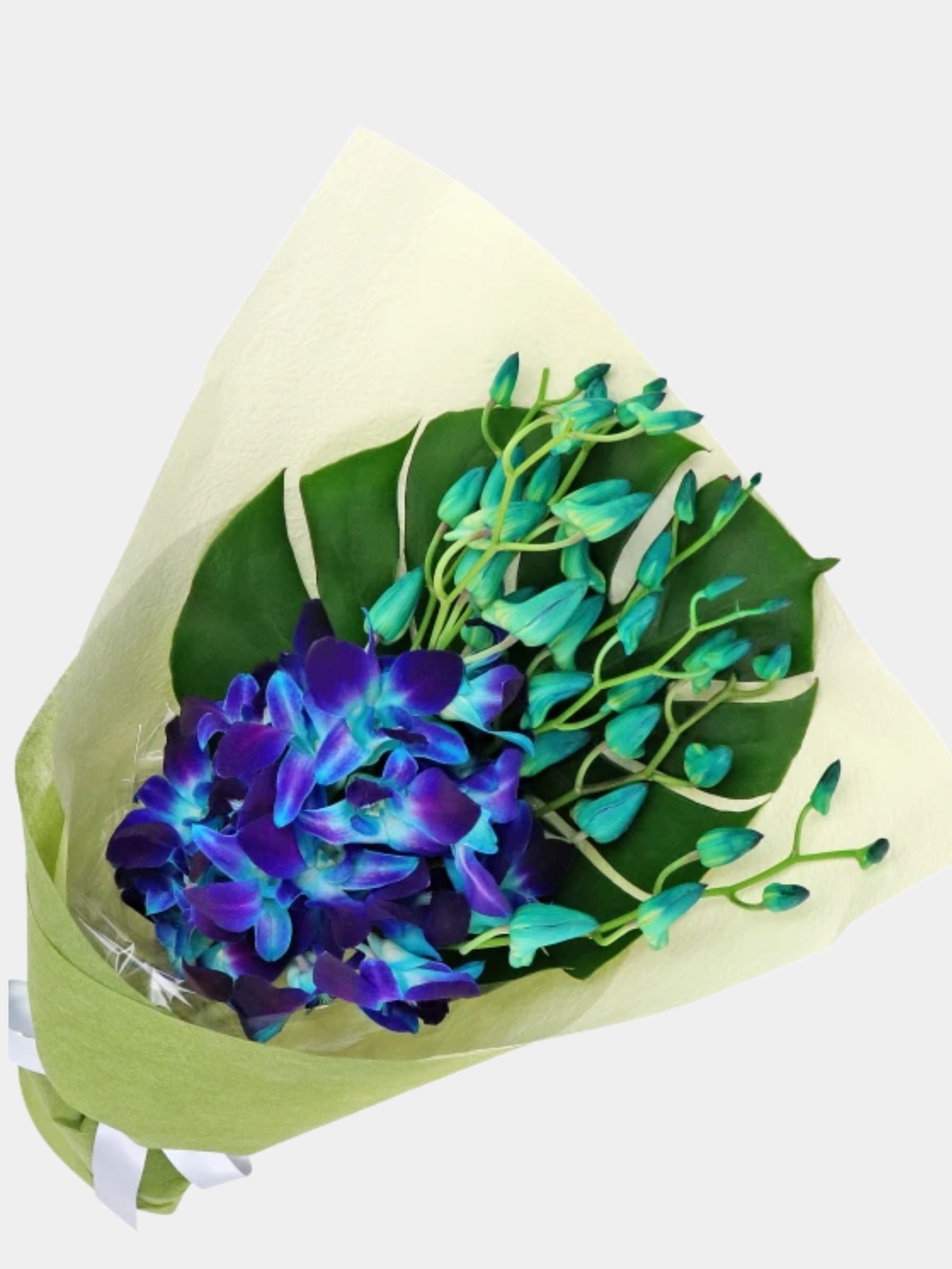 Bouquet of 7 Blue Orchid