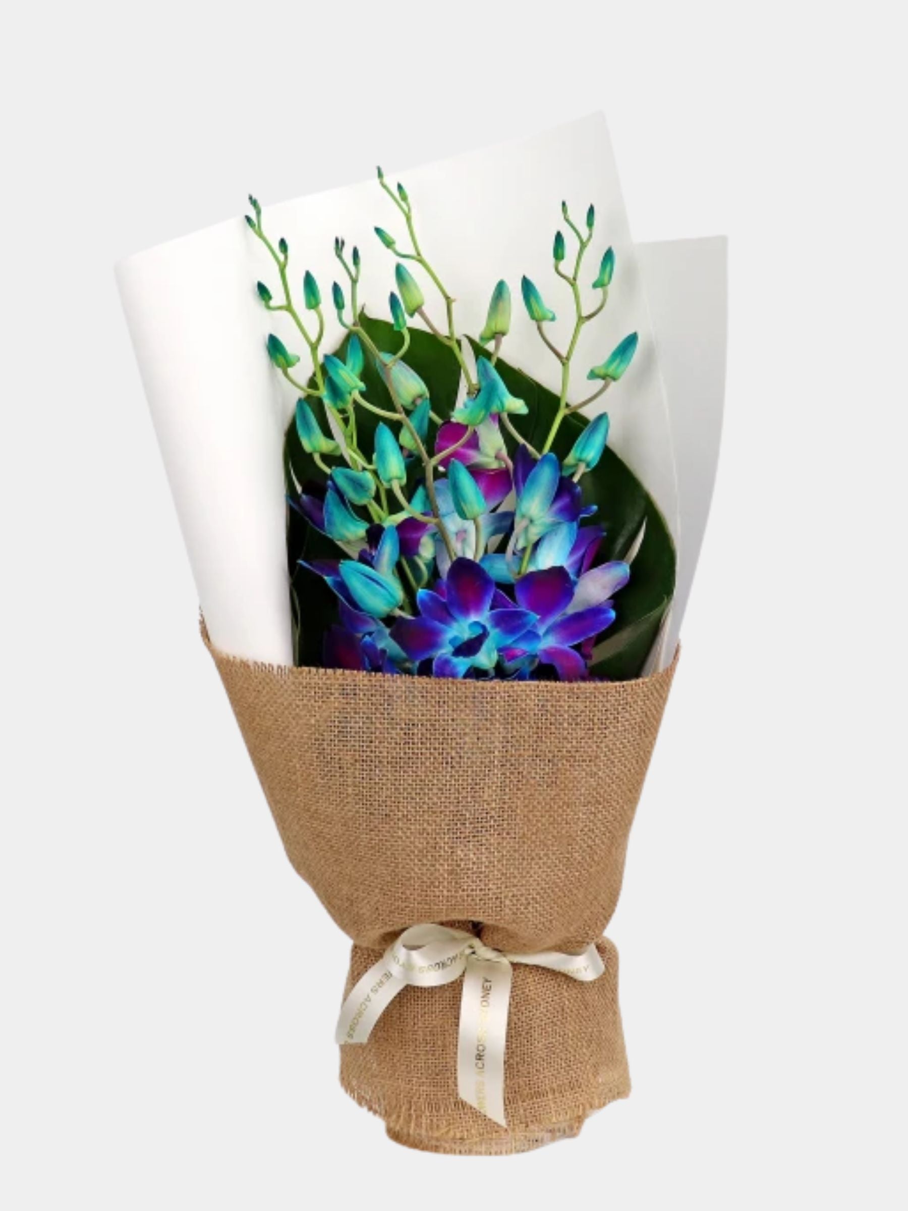 Bouquet of 7 Blue Orchid