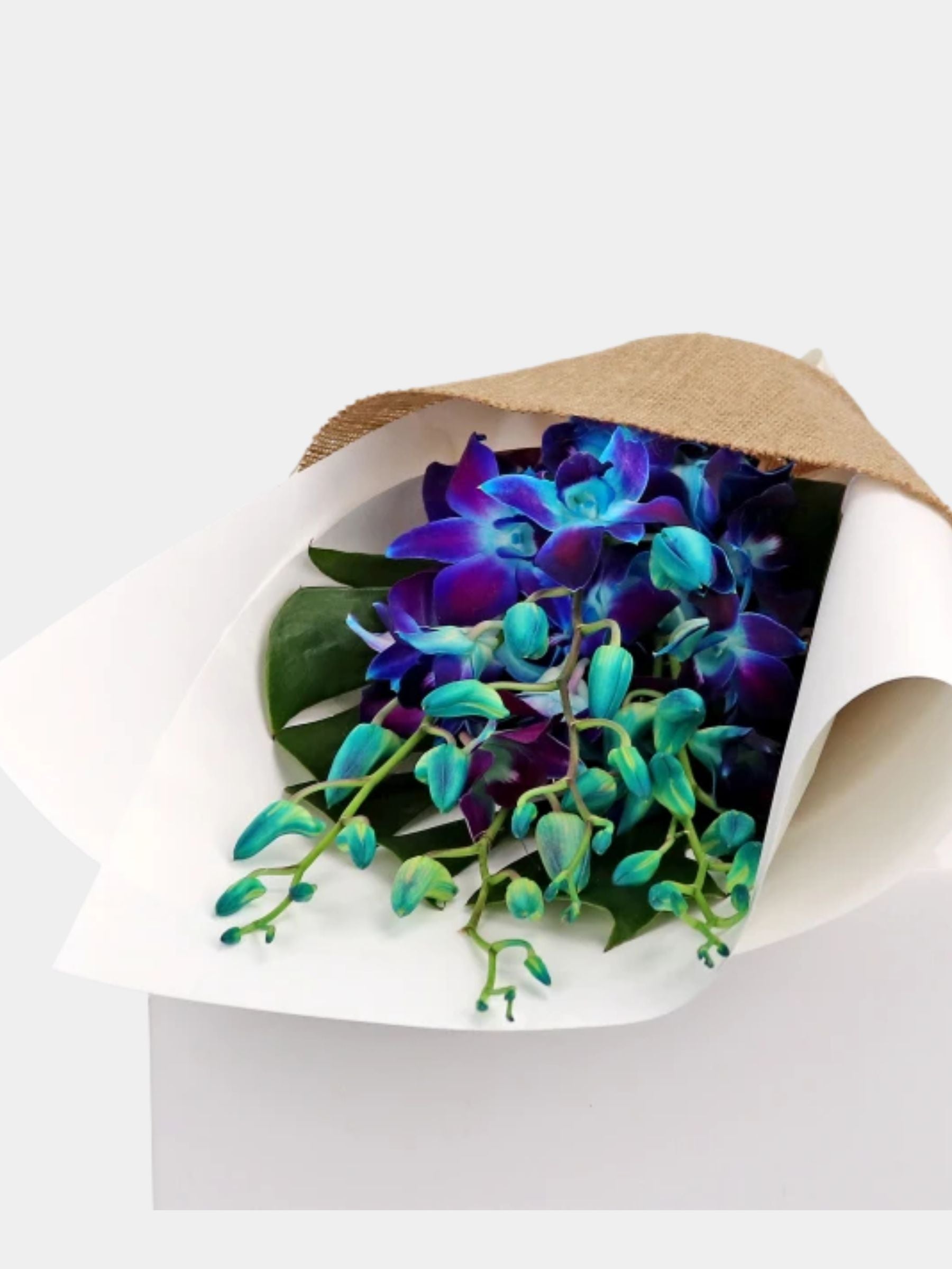 Bouquet of 7 Blue Orchid