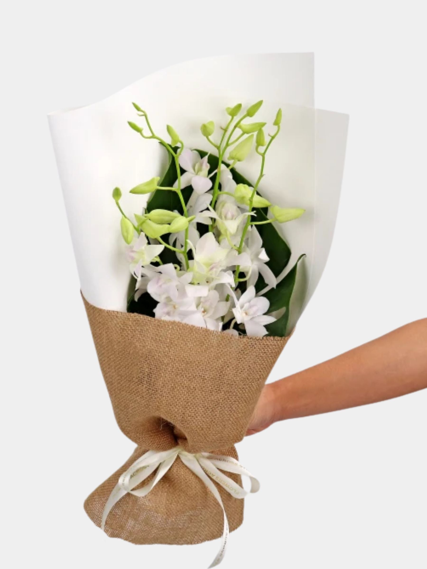 Bouquet of 7 White Orchid
