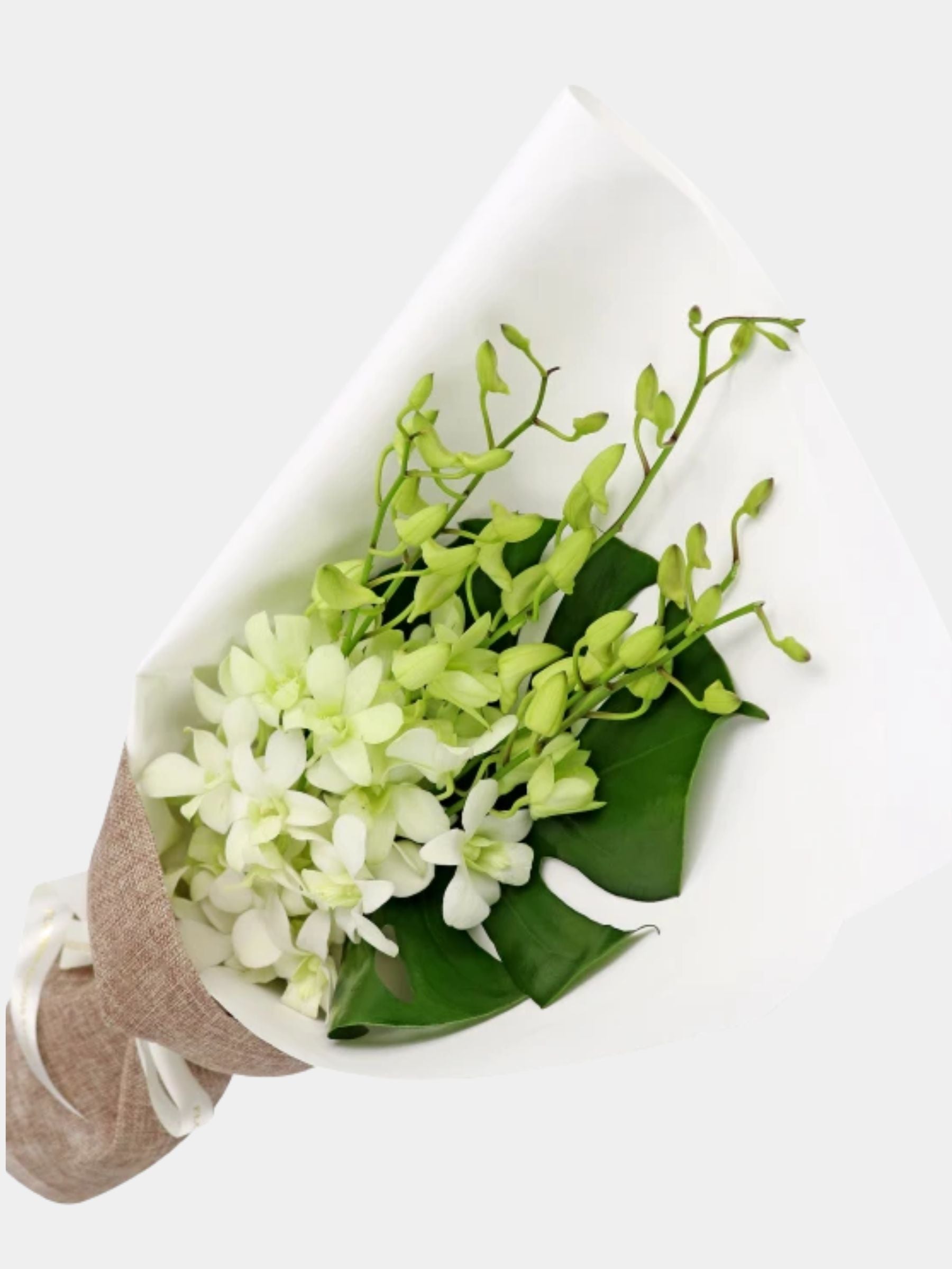 Bouquet of 7 White Orchid