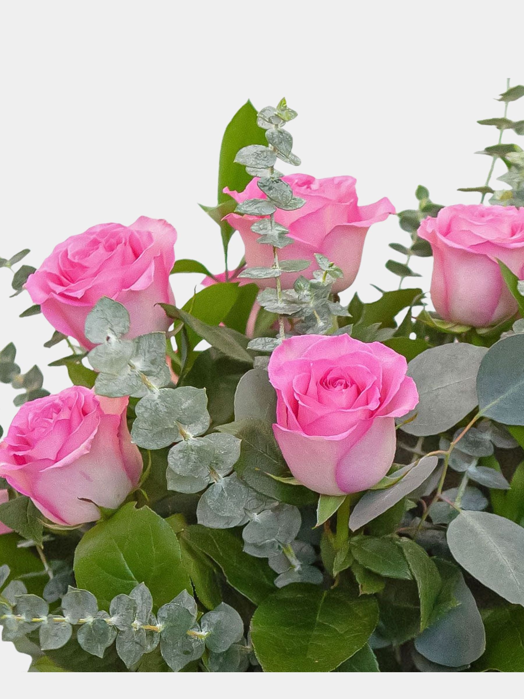 Classic 12 Pink Roses in a Vase