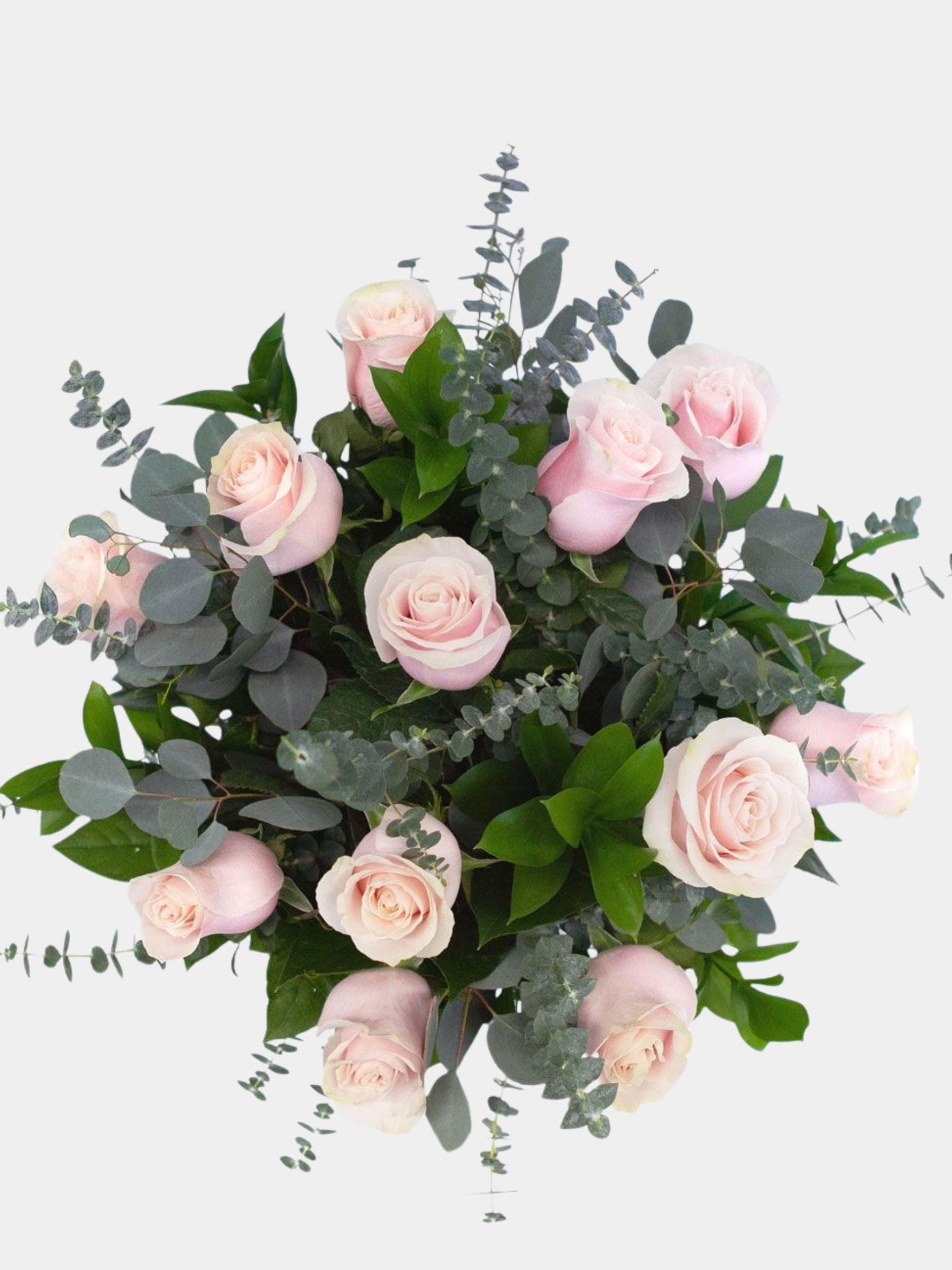 Classic 12 Soft Pink Roses in a Vase