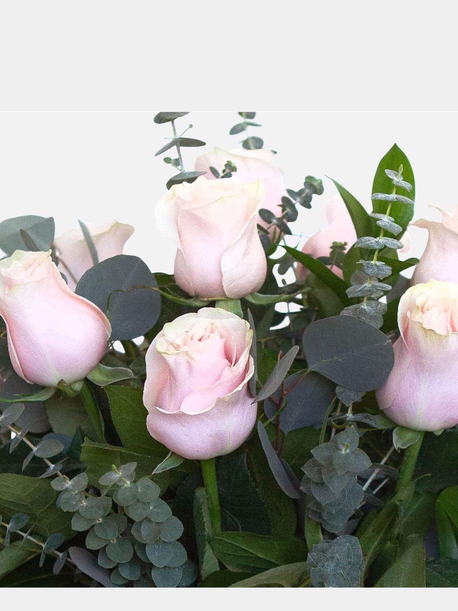 Classic 12 Soft Pink Roses in a Vase