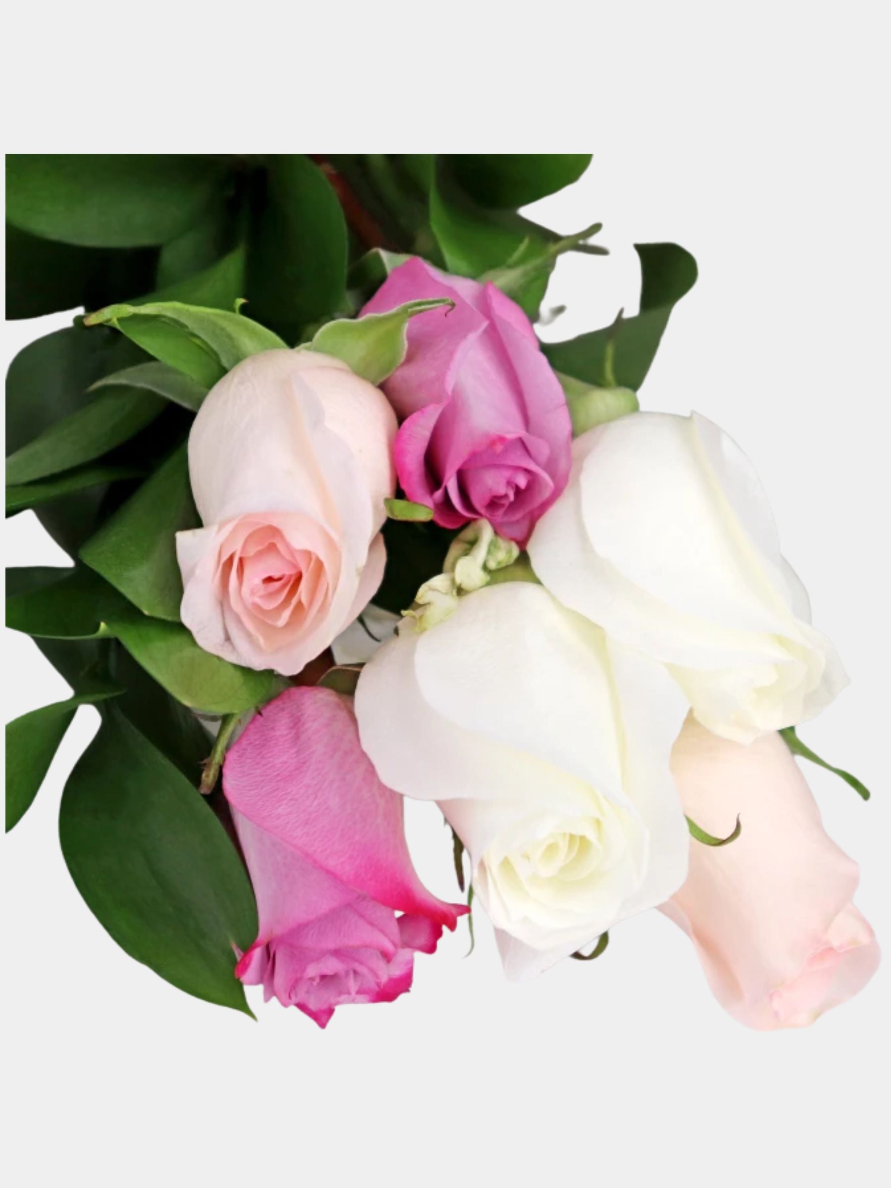 Bouquet of 6 Pastel Roses