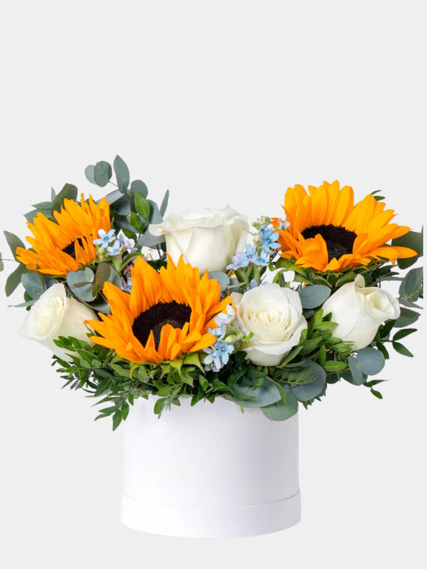 Petite Skylight Flower Box