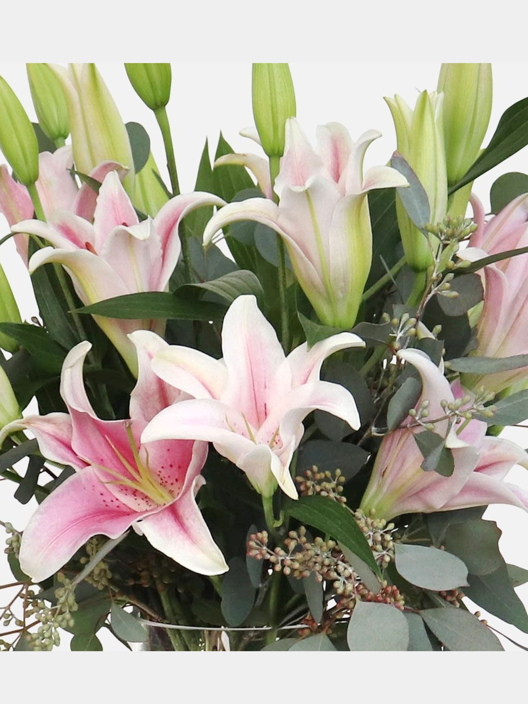 Pink Lilies in Vase