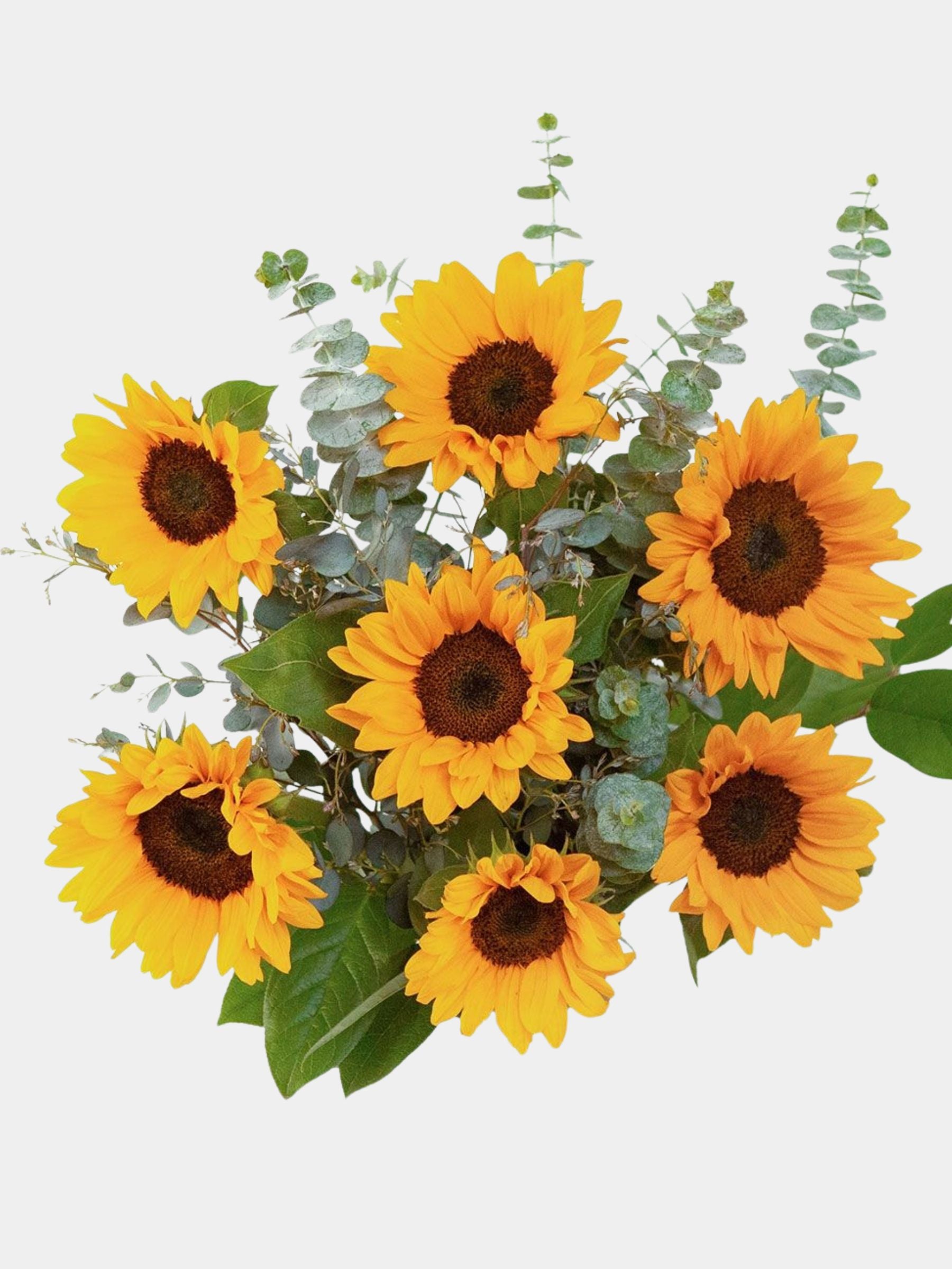Sunflower Bouquet