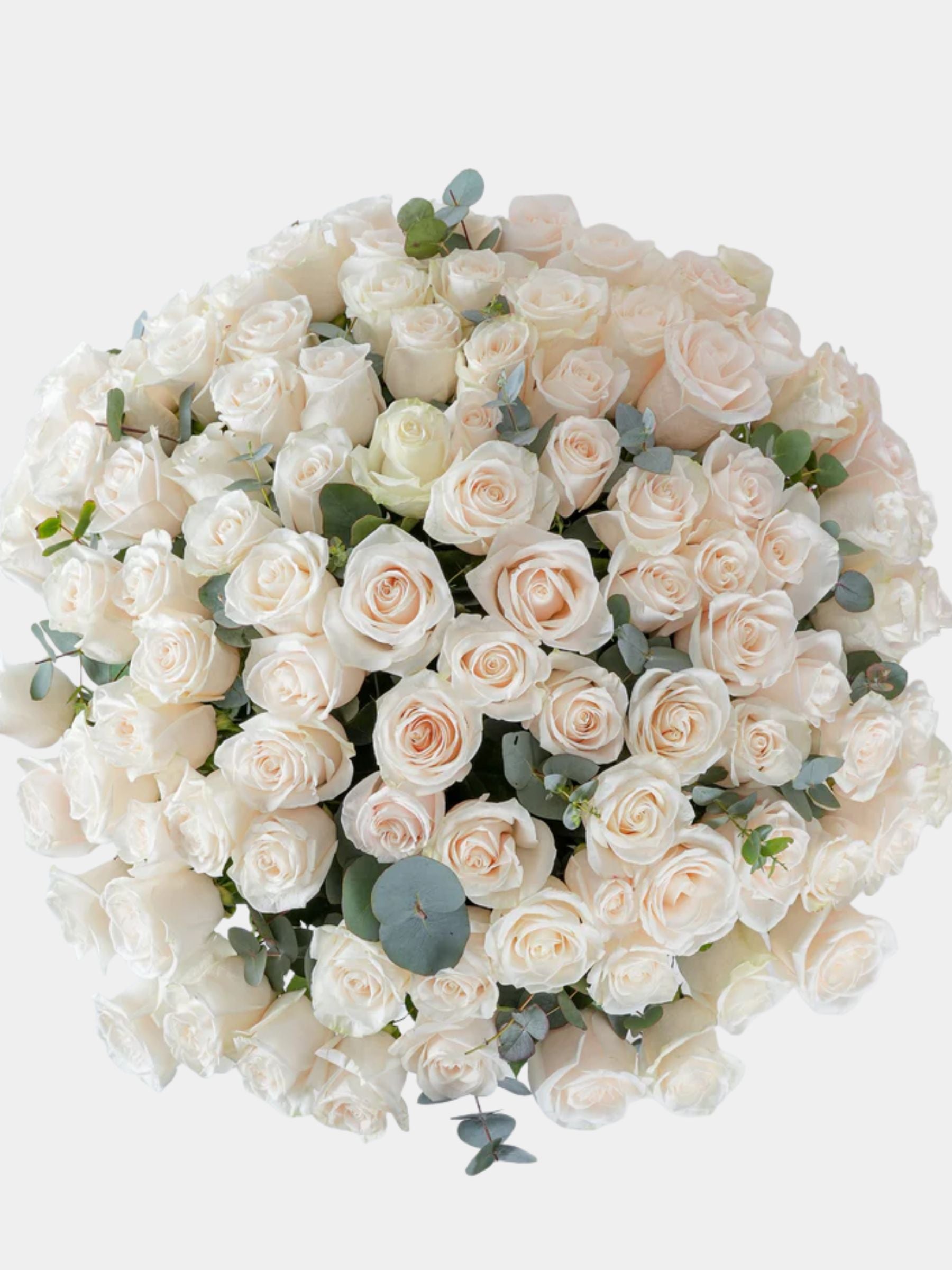 100 Luxury White Roses Vase