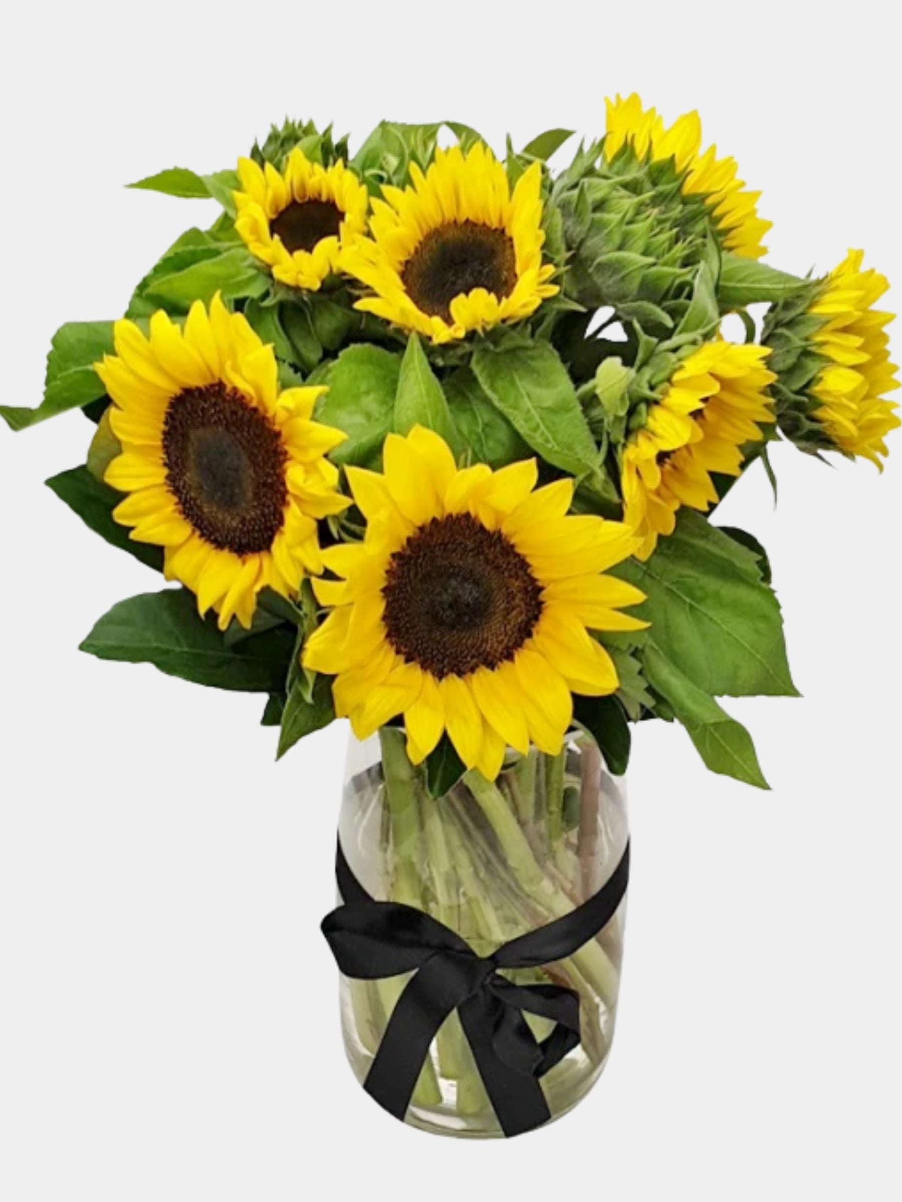10 Sunflowers in a Vase
