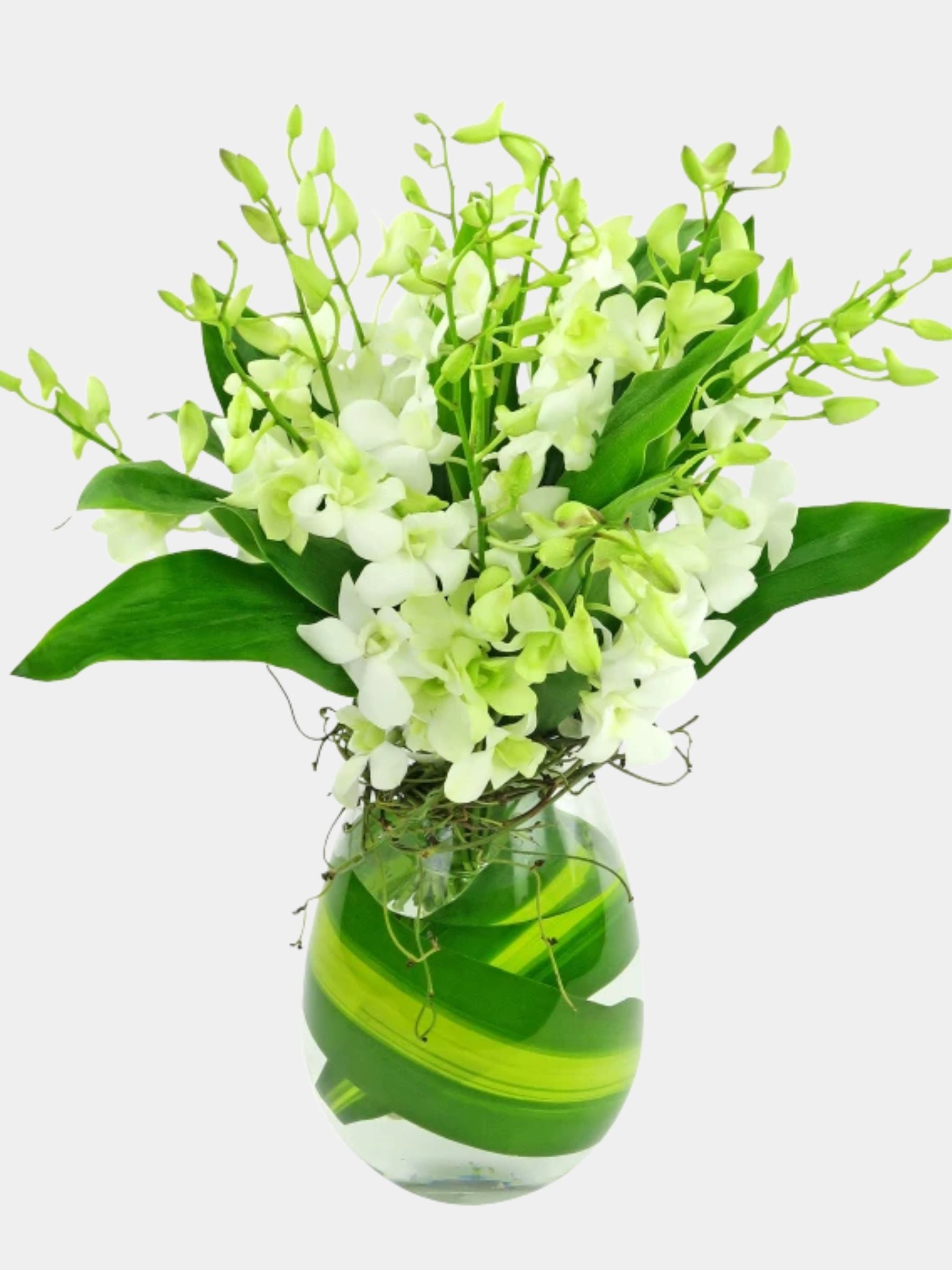 10 White Orchids in a Vase