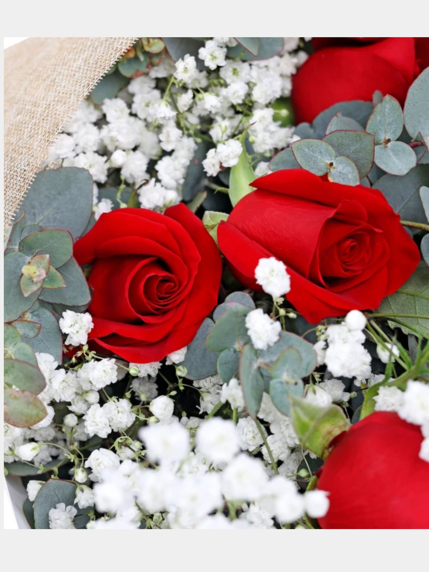 6 Rambling Roses Bouquet