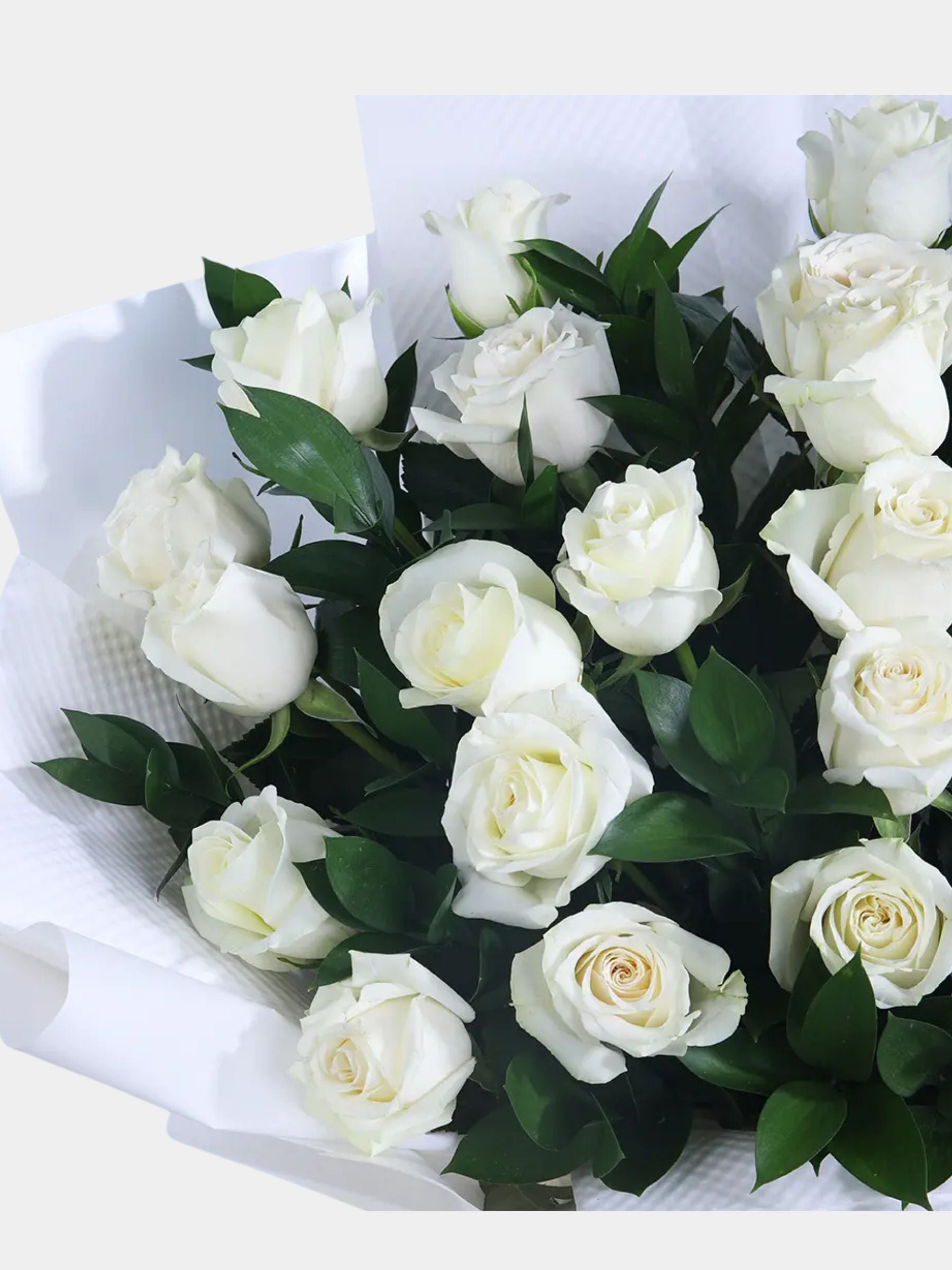 Bouquet of 36 White Roses