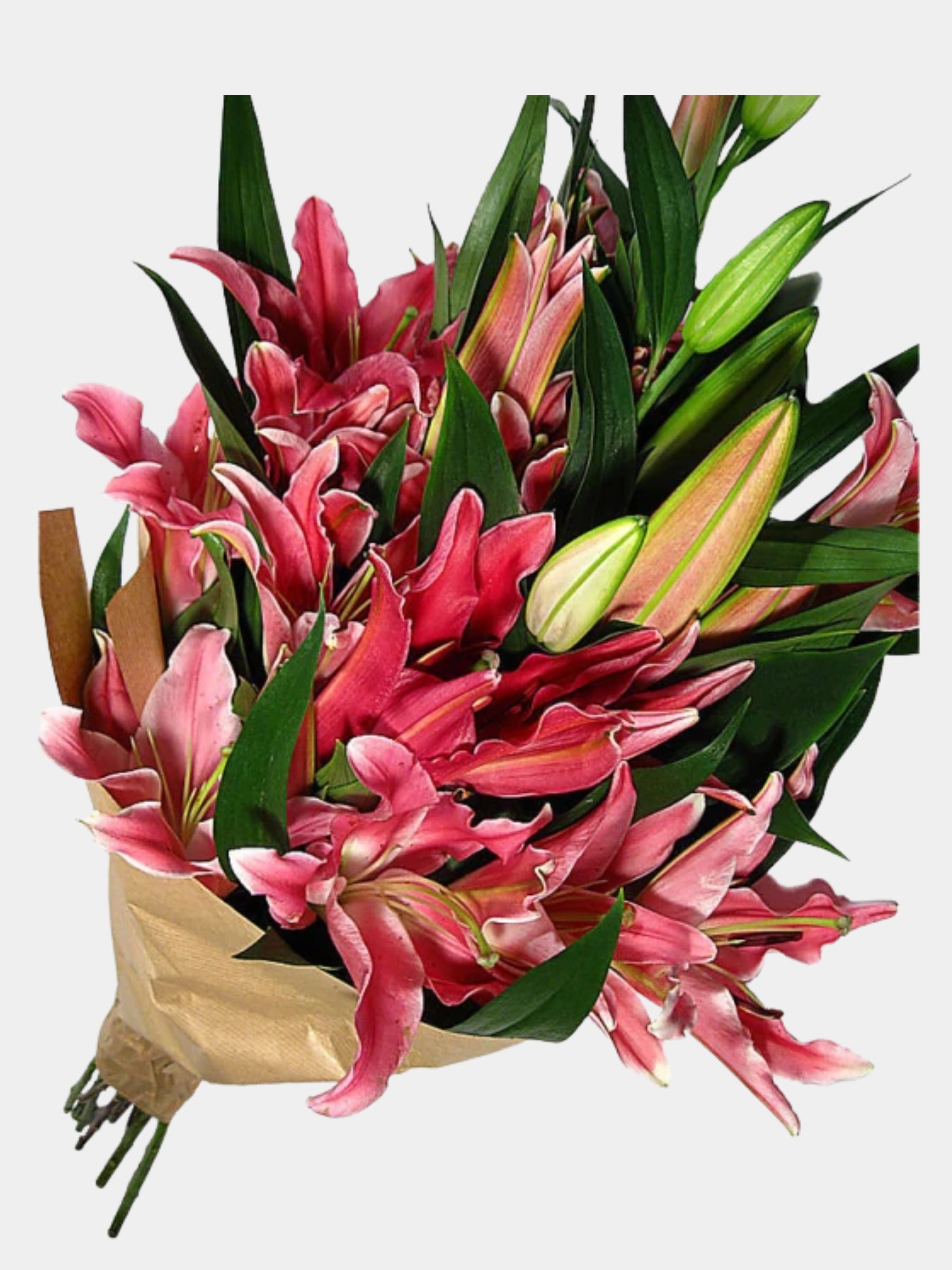 Bouquet of 10 Pink Oriental Lily