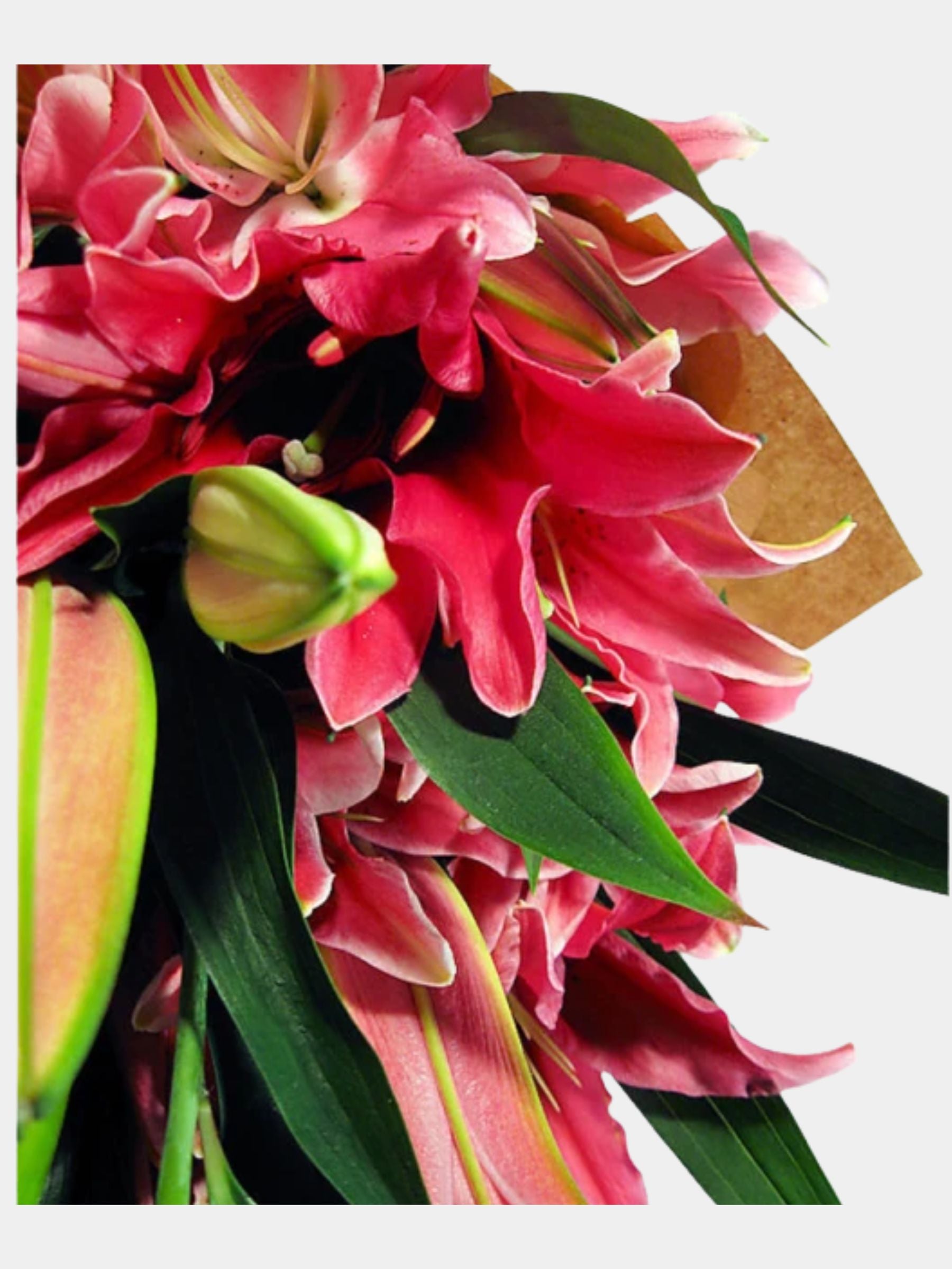 Bouquet of 10 Pink Oriental Lily