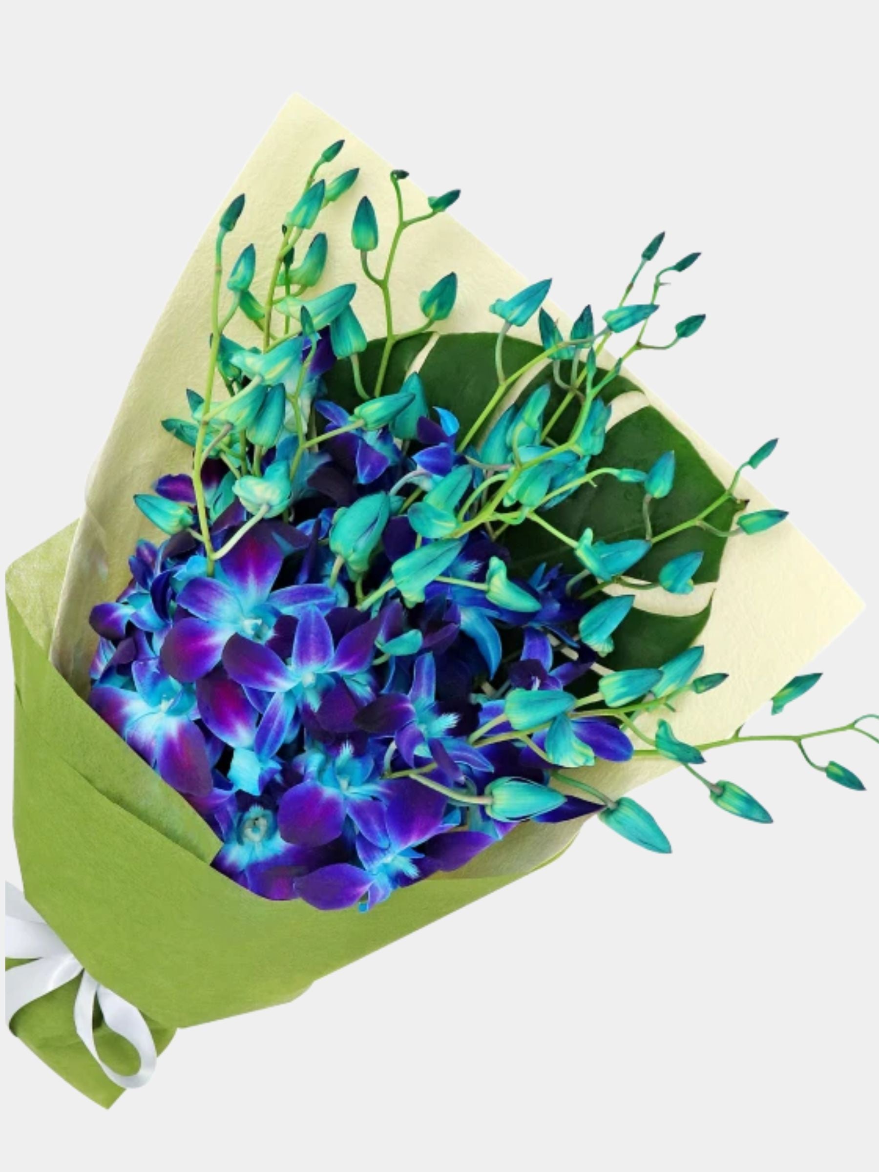 Bouquet of 15 Blue Orchid