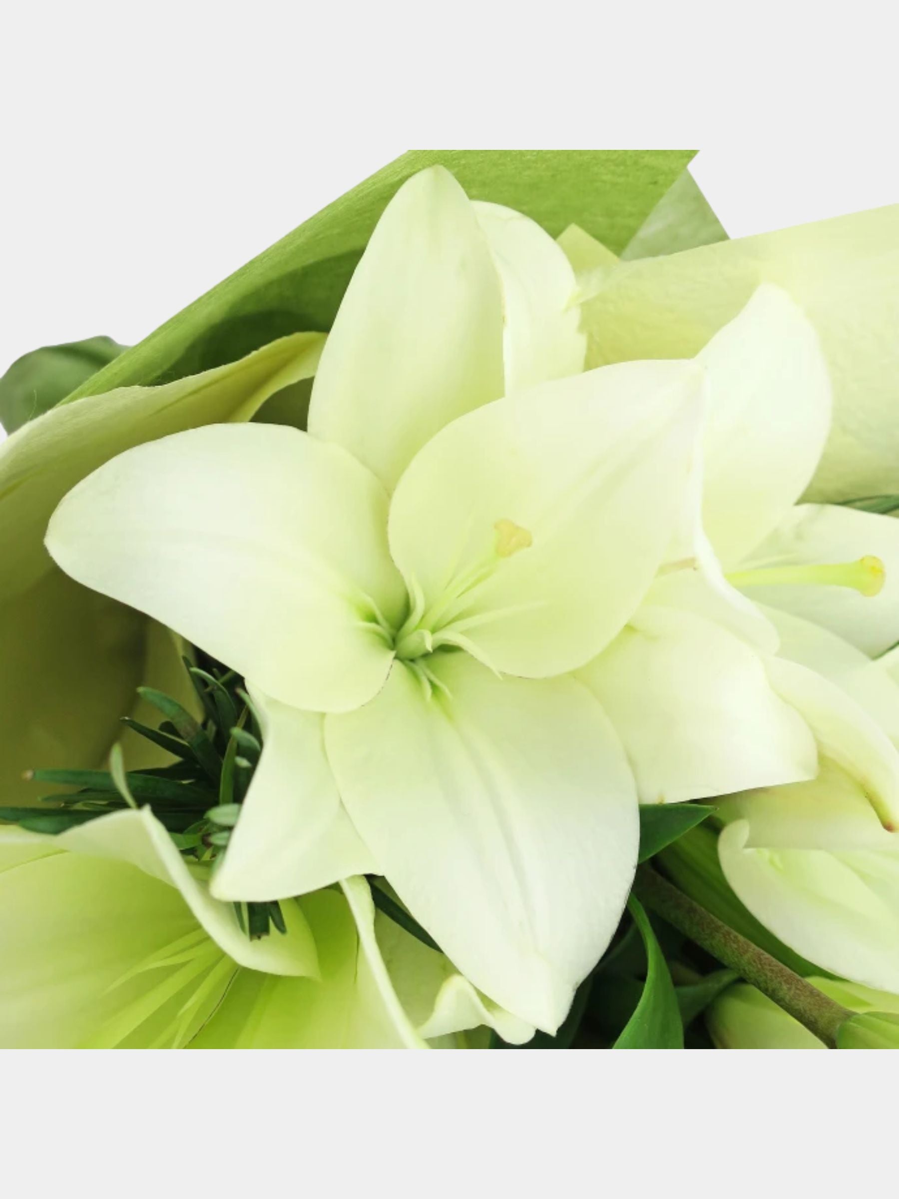 Bouquet of 15 White Lily