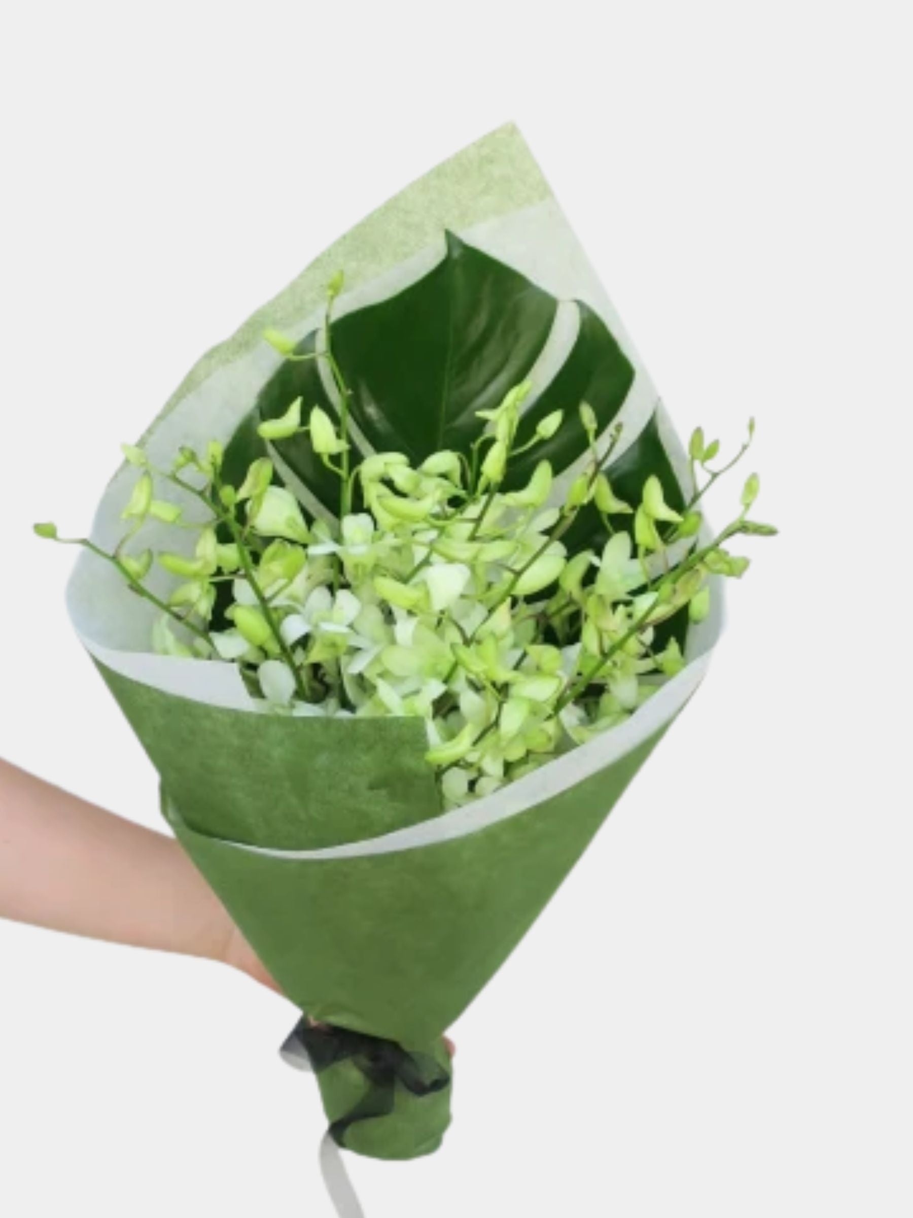 Bouquet of 15 White Orchid