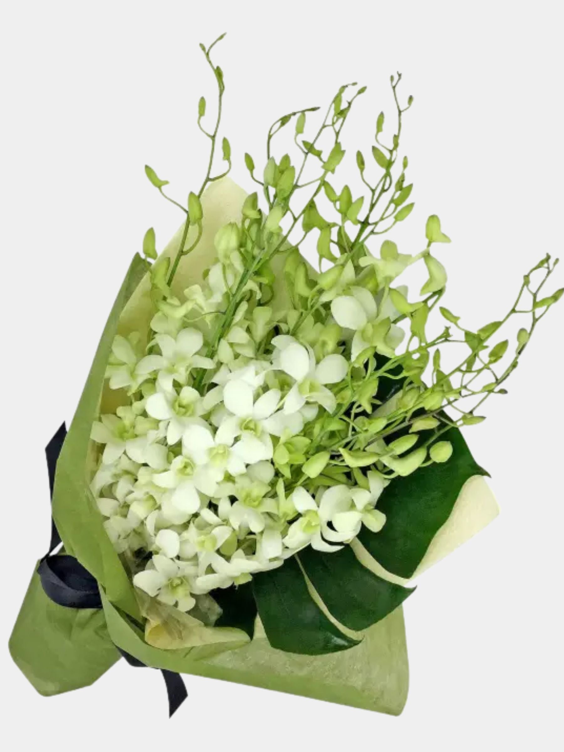 Bouquet of 15 White Orchid