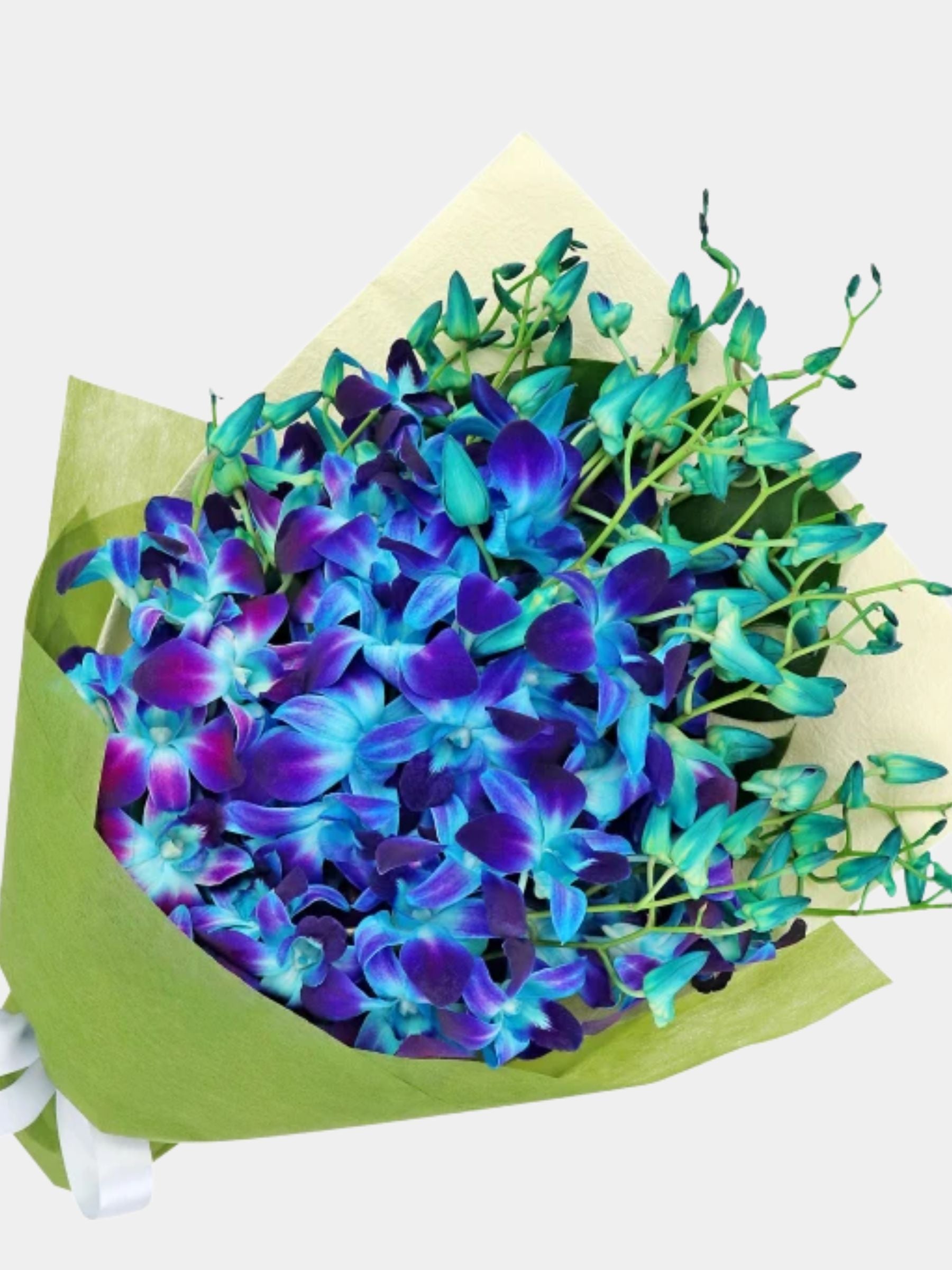 Bouquet of 20 Blue Orchid
