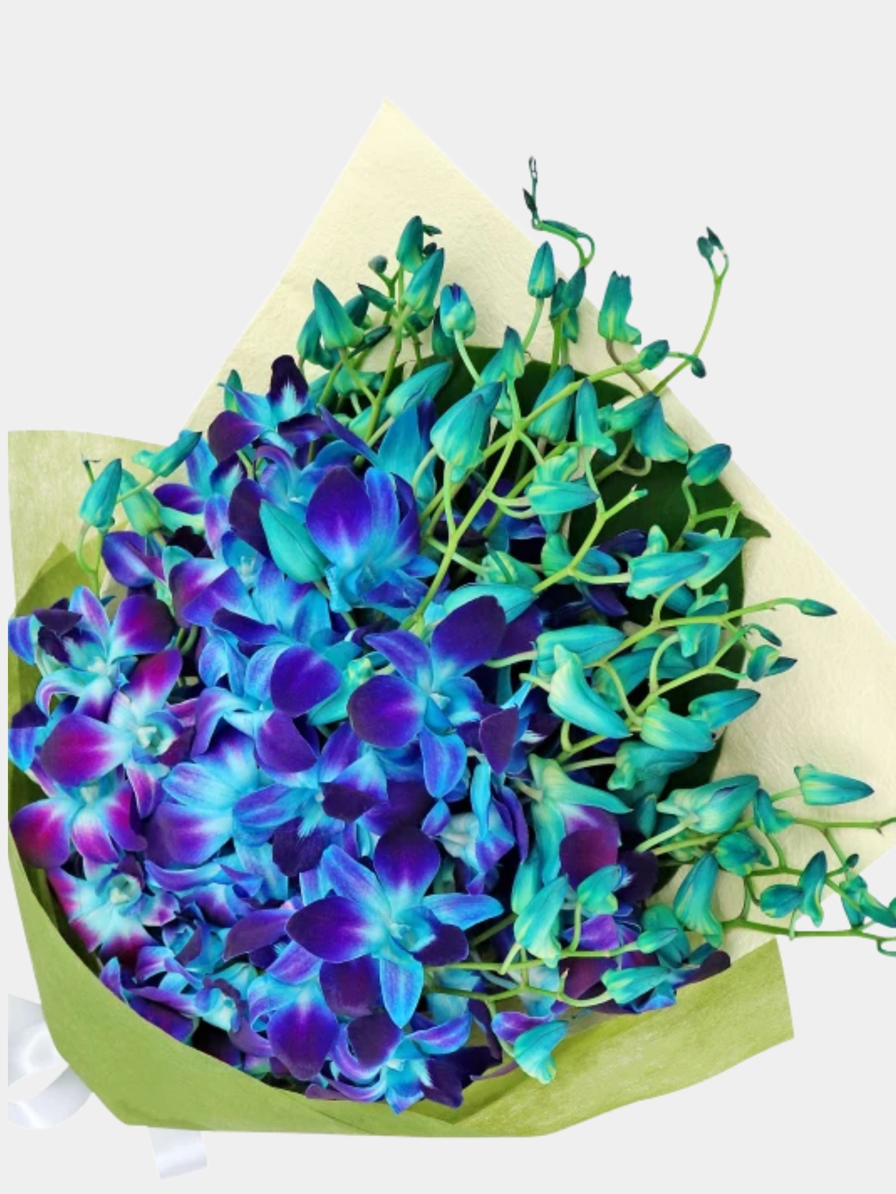 Bouquet of 20 Blue Orchid