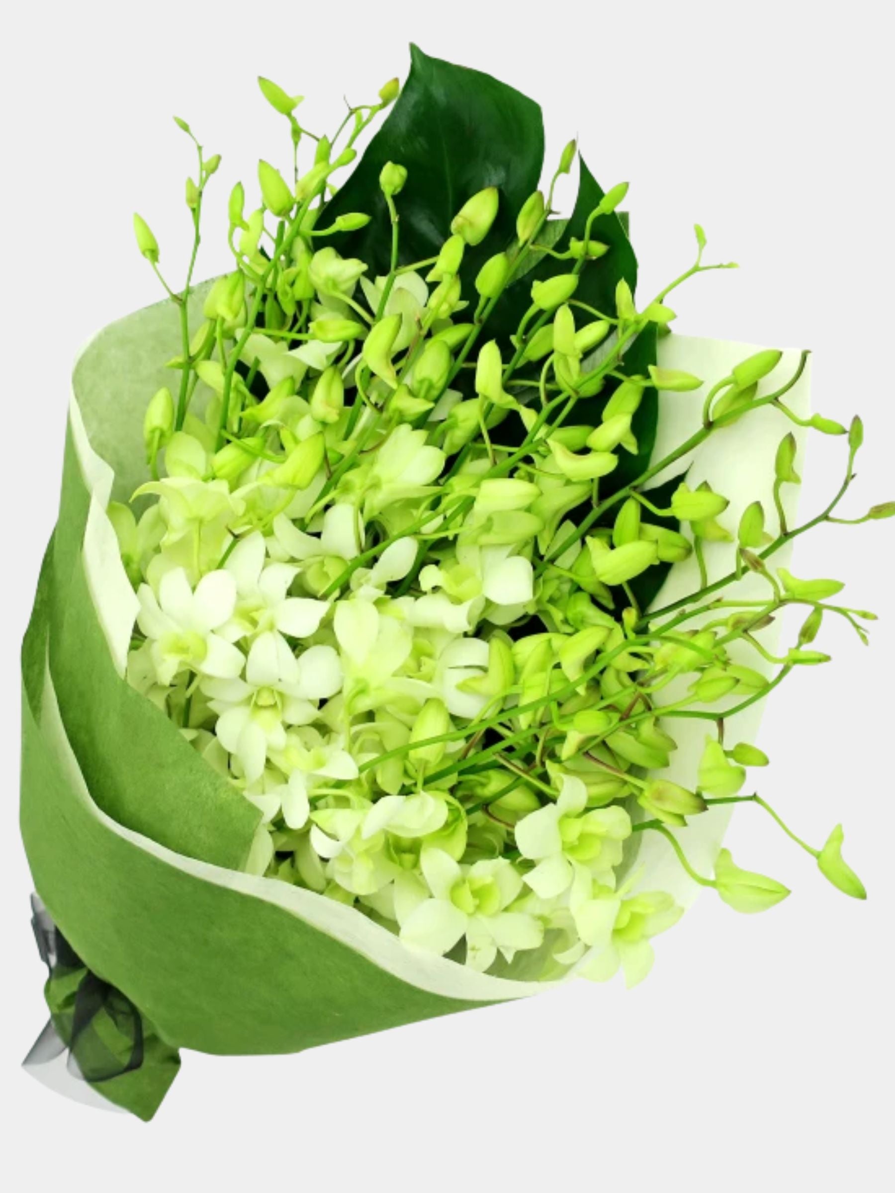 Bouquet of 20 White Orchid