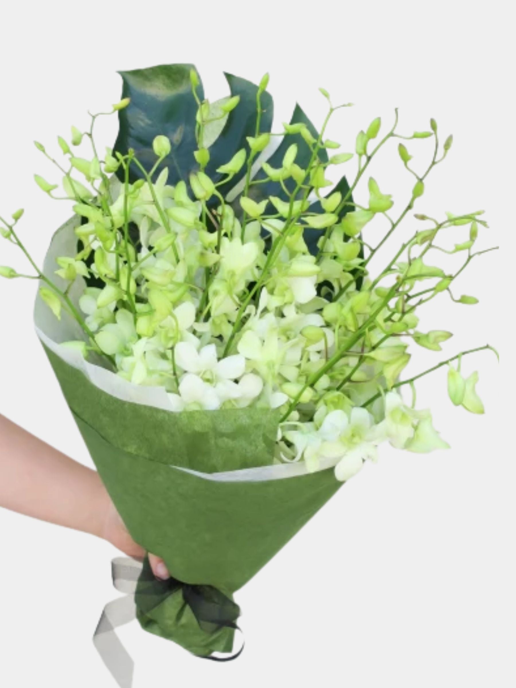 Bouquet of 20 White Orchid