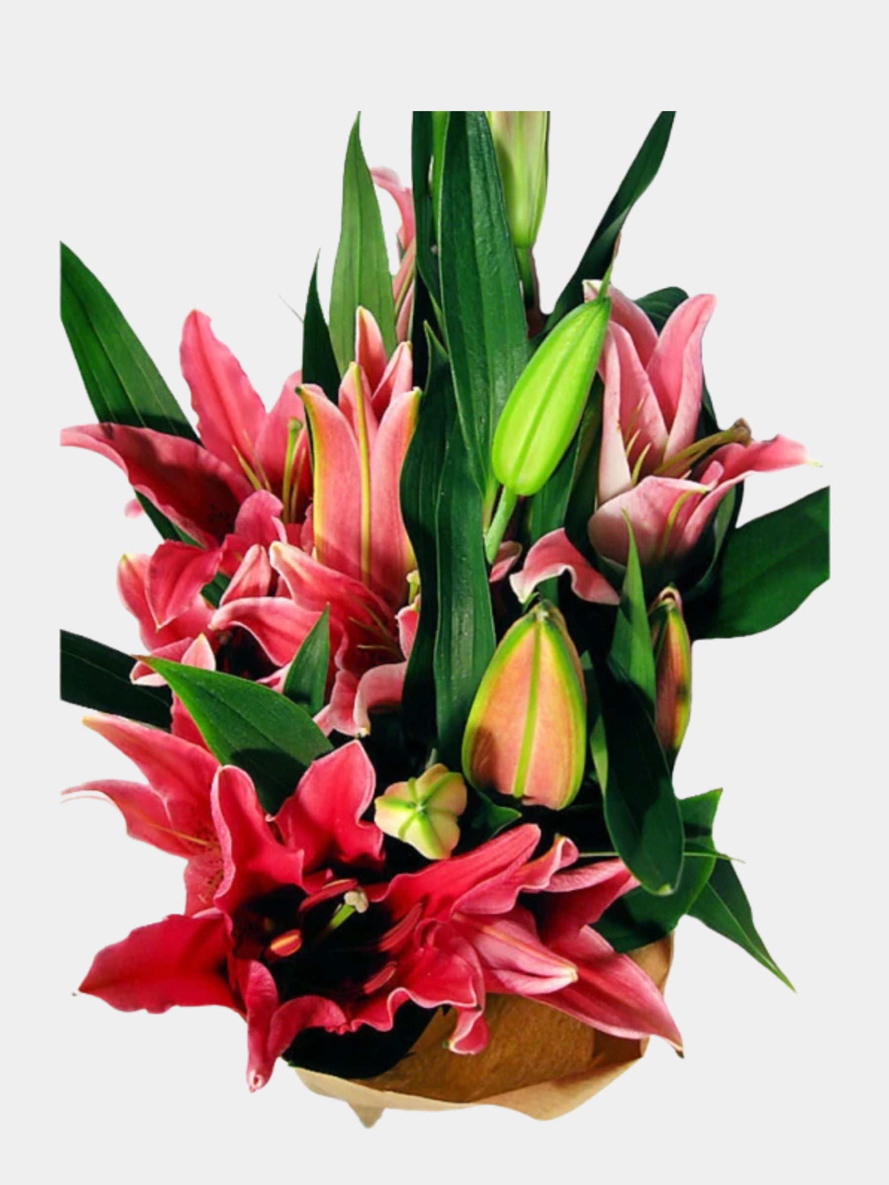 Bouquet of 7 Pink Oriental Lily