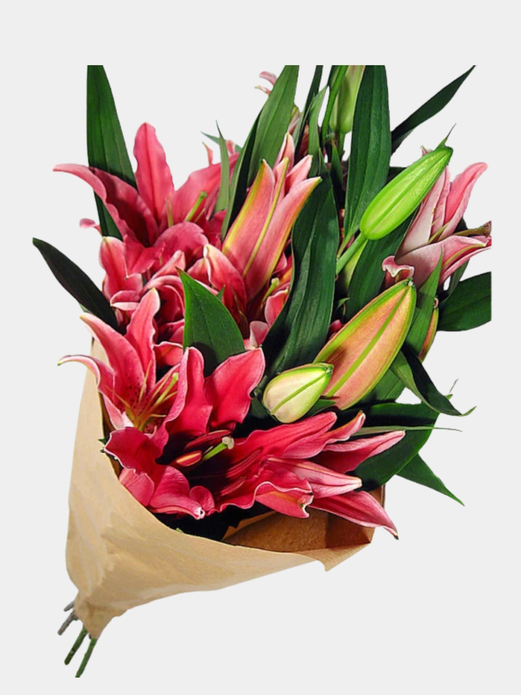 Bouquet of 7 Pink Oriental Lily
