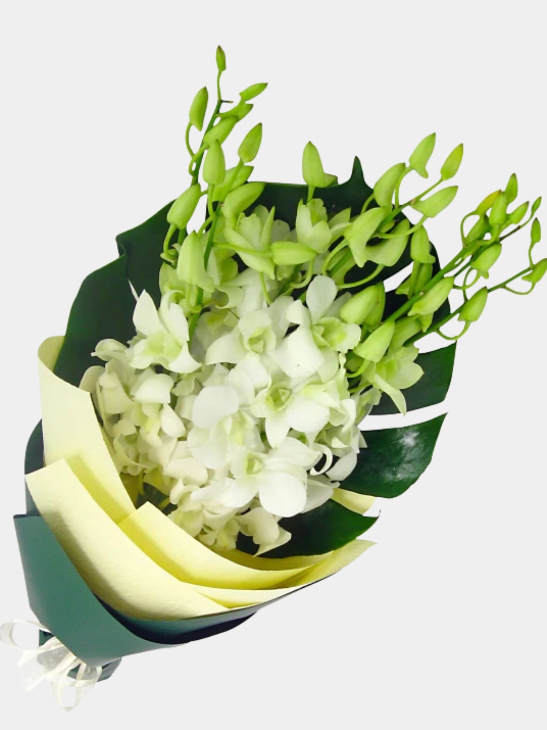 Bouquet of 7 White Orchid