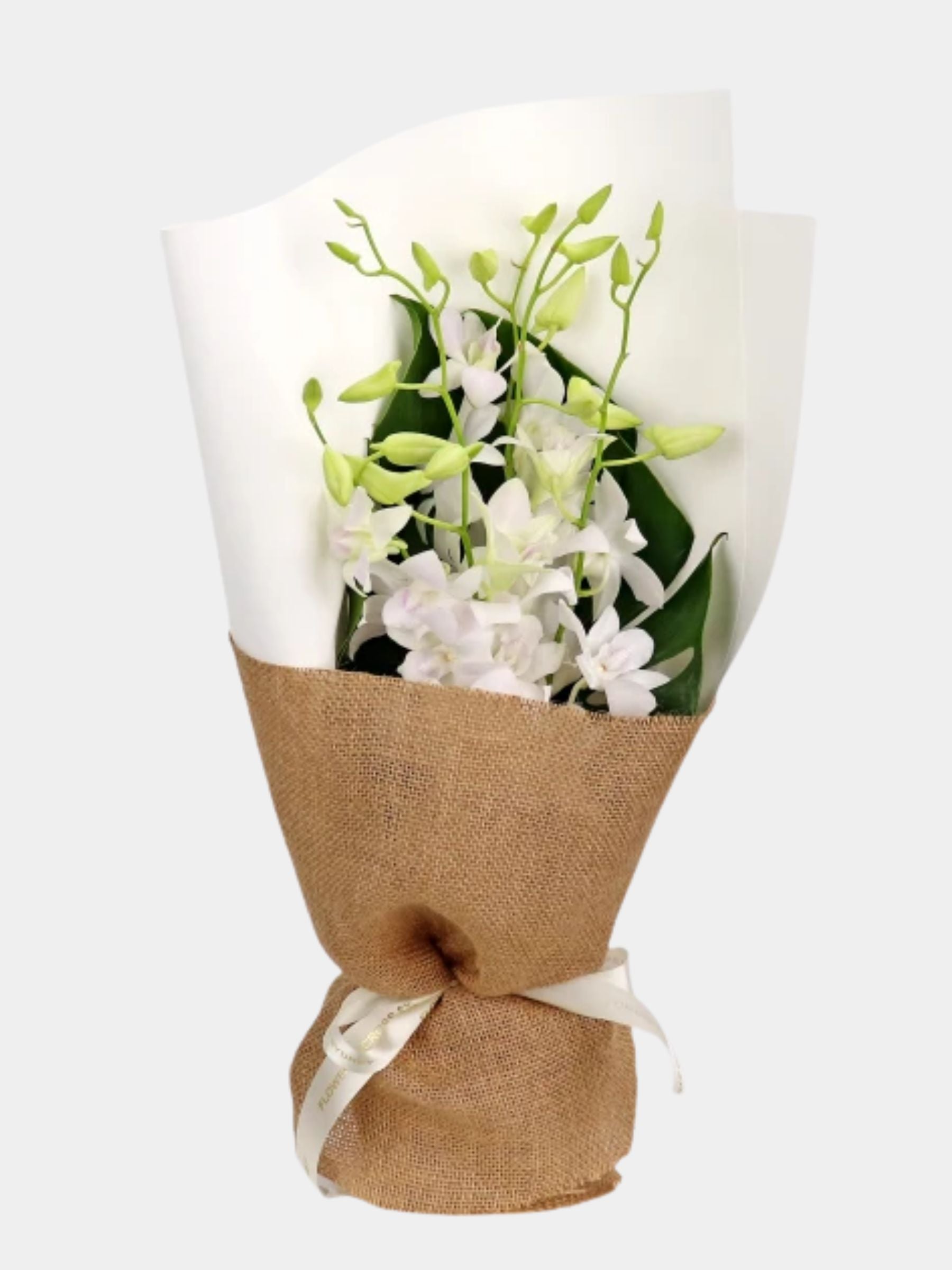 Bouquet of 7 White Orchid