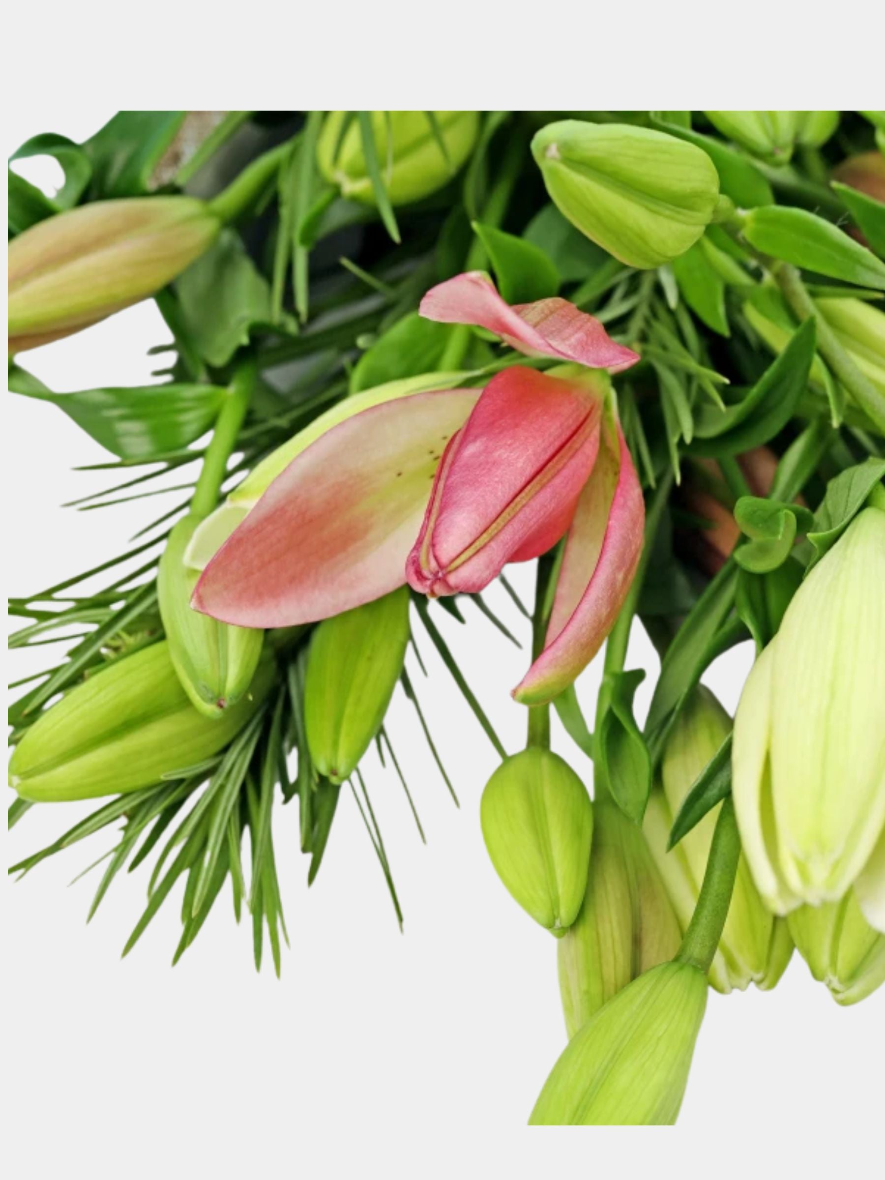 Bouquet of Mixed 10 Pastel Lily