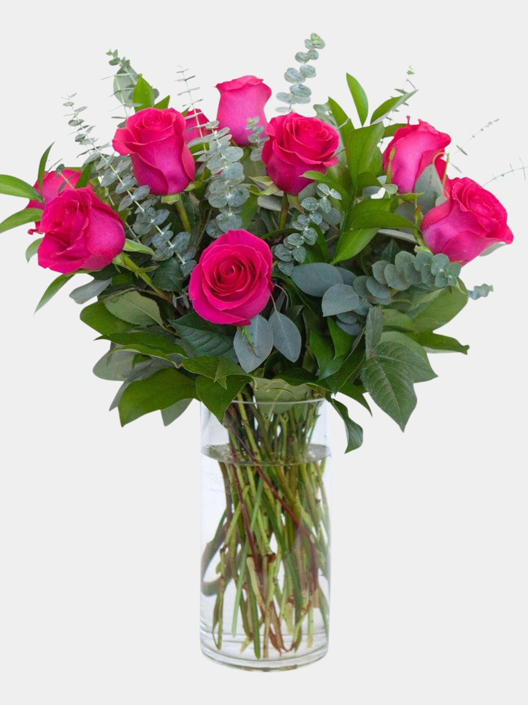 Classic 12 Bright Pink Roses in a Vase