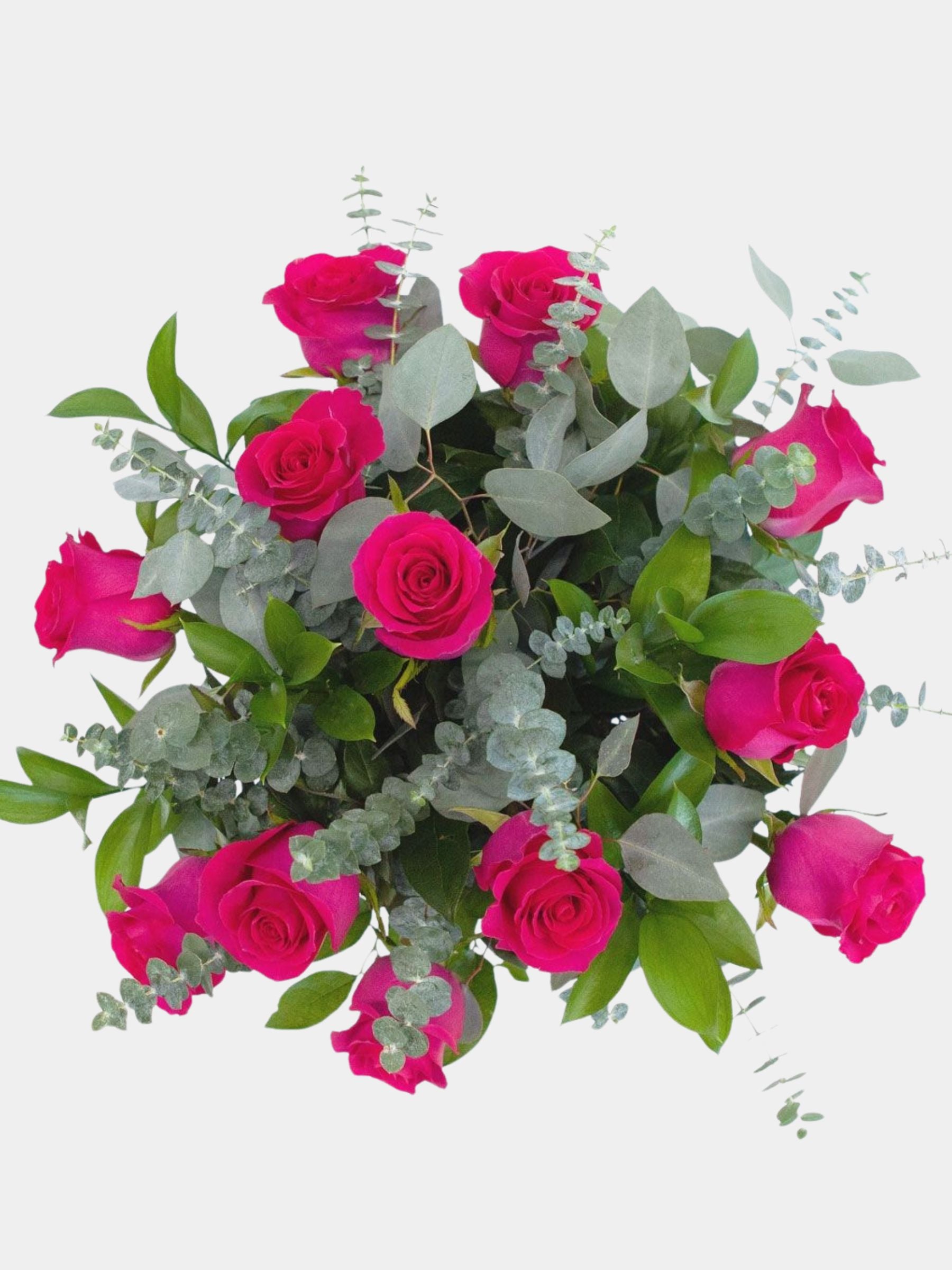 Classic 12 Bright Pink Roses in a Vase