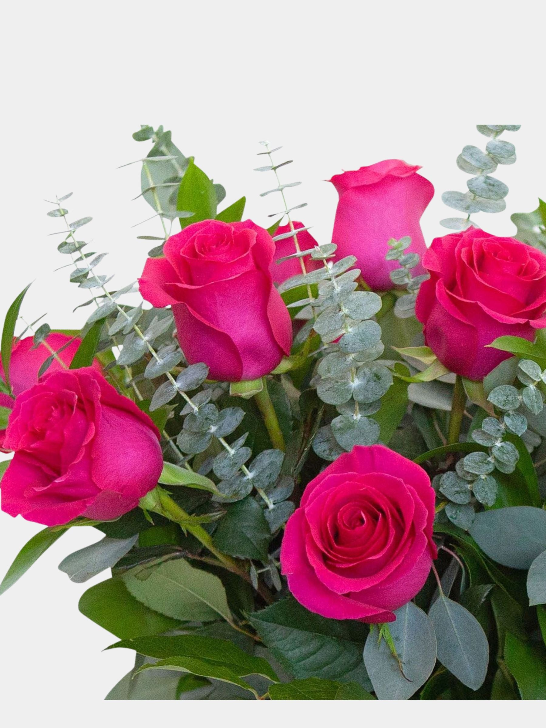 Classic 12 Bright Pink Roses in a Vase