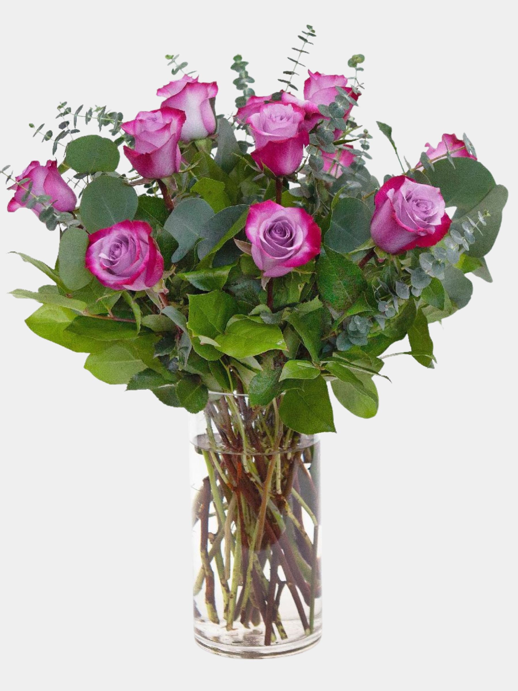 Classic 12 Deep Purple Roses in a Vase